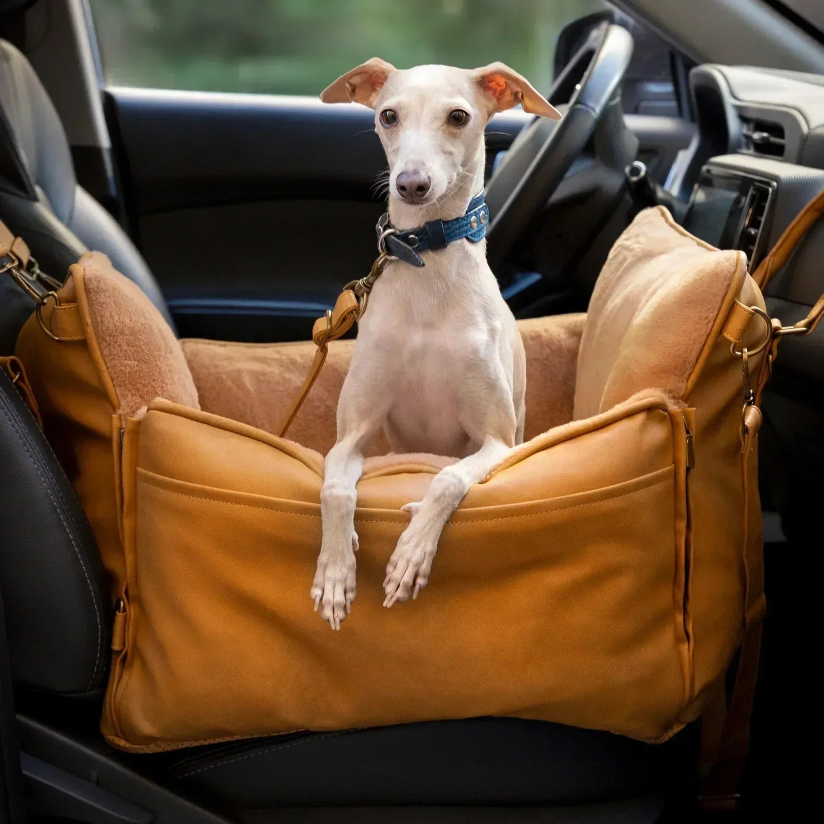 Vet-Approved Car Seat Safety Tips for Pet