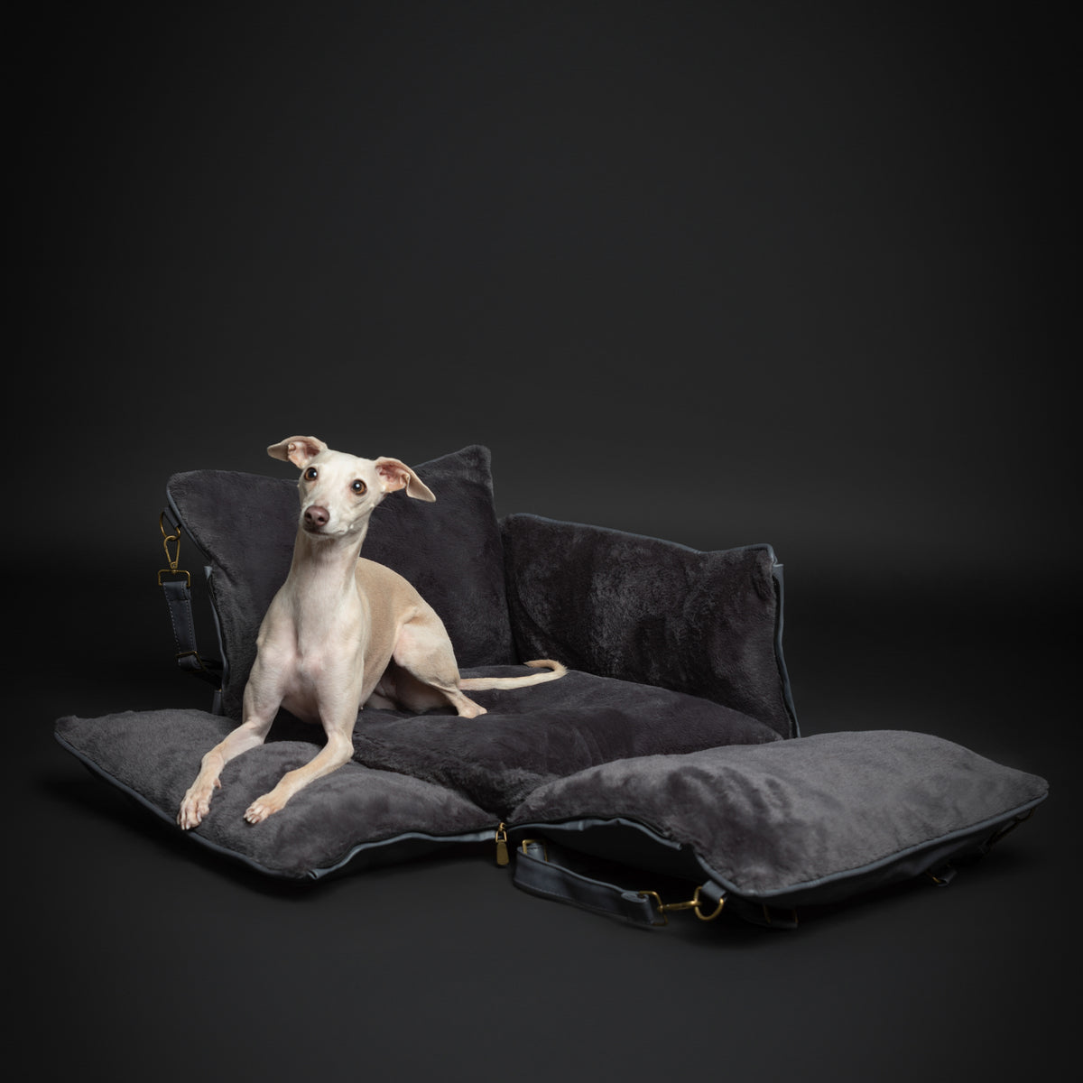 Noah & Paw orthopedic dog car seat carrier with crushed foam, black vegan leather