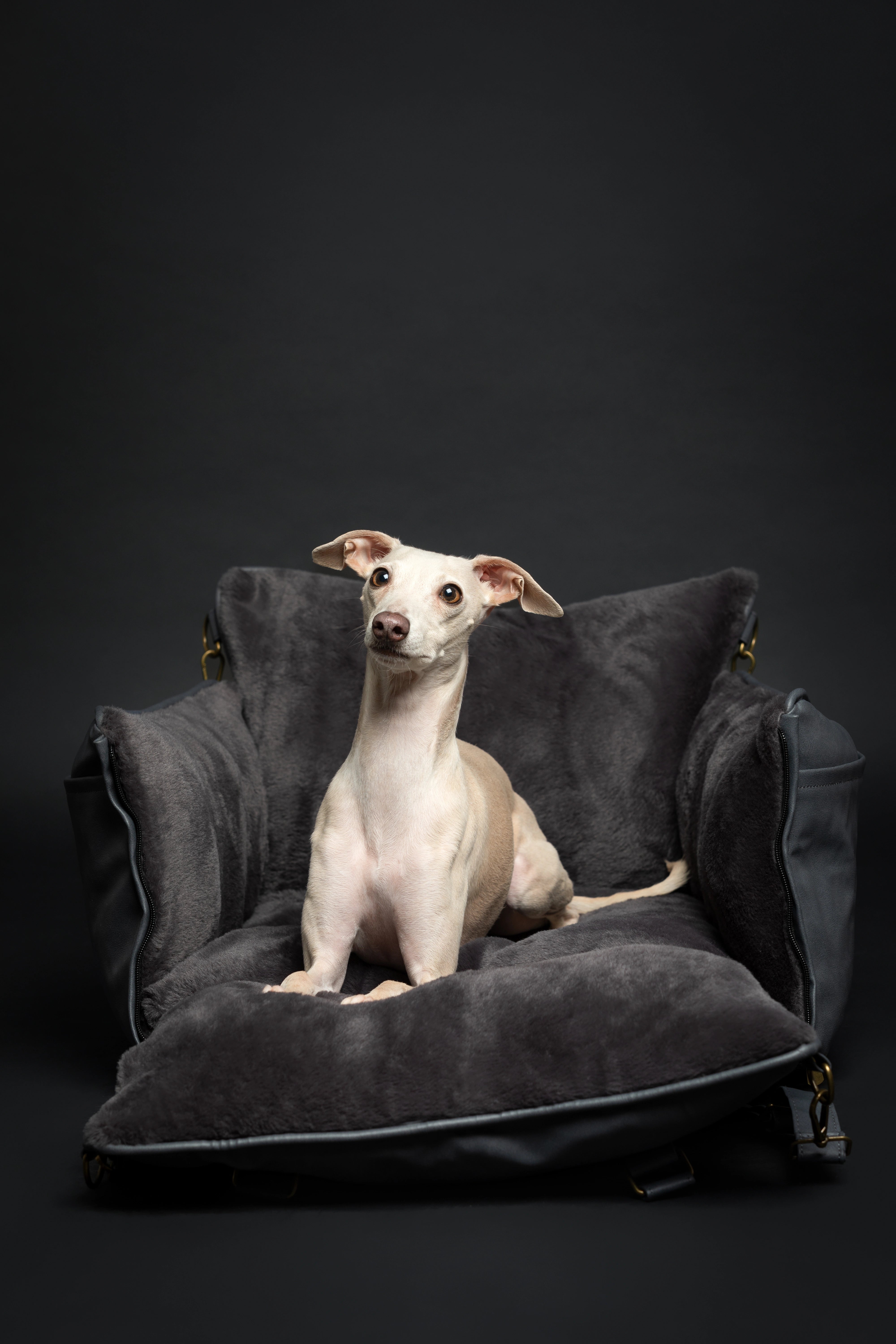 Dog Car Seat Portable Style Faux Leather Black