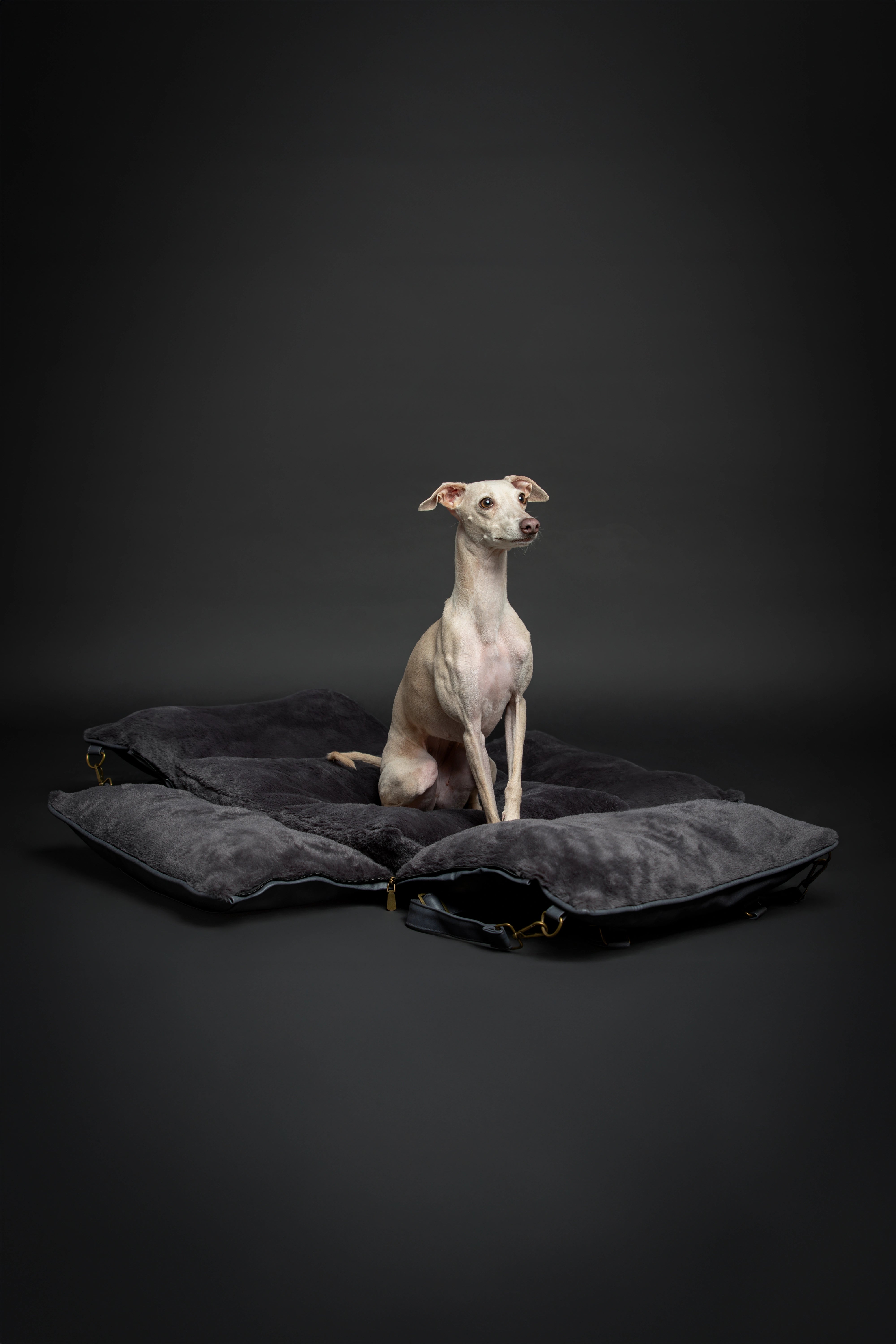 Dog Car Seat Portable Style Faux Leather Black