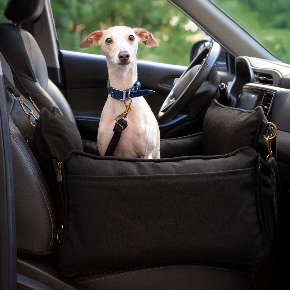 Noah & Paw orthopedic dog car seat carrier with crushed foam, black canvas