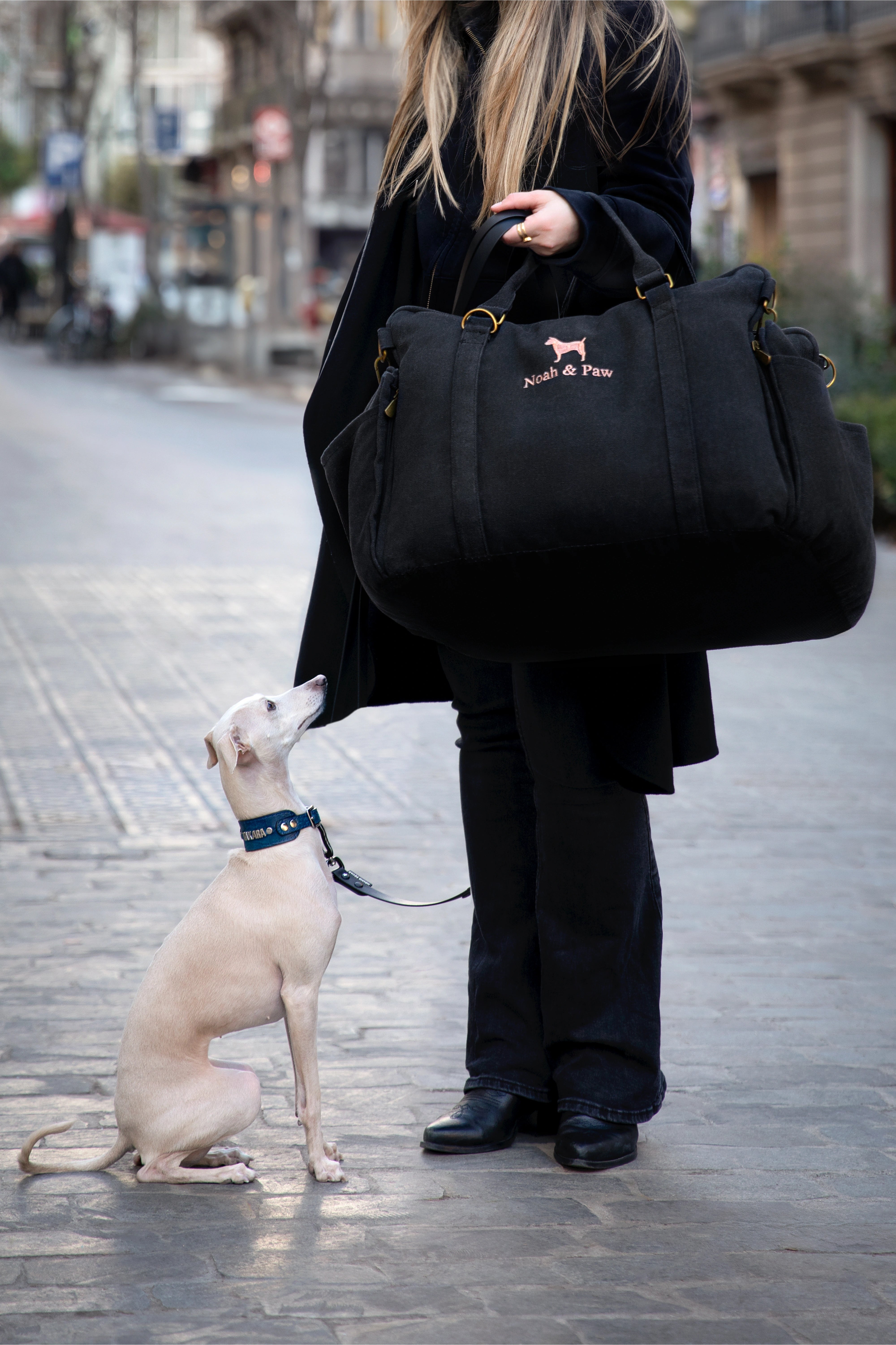 Dog Car Seat Portable Style Canvas Black