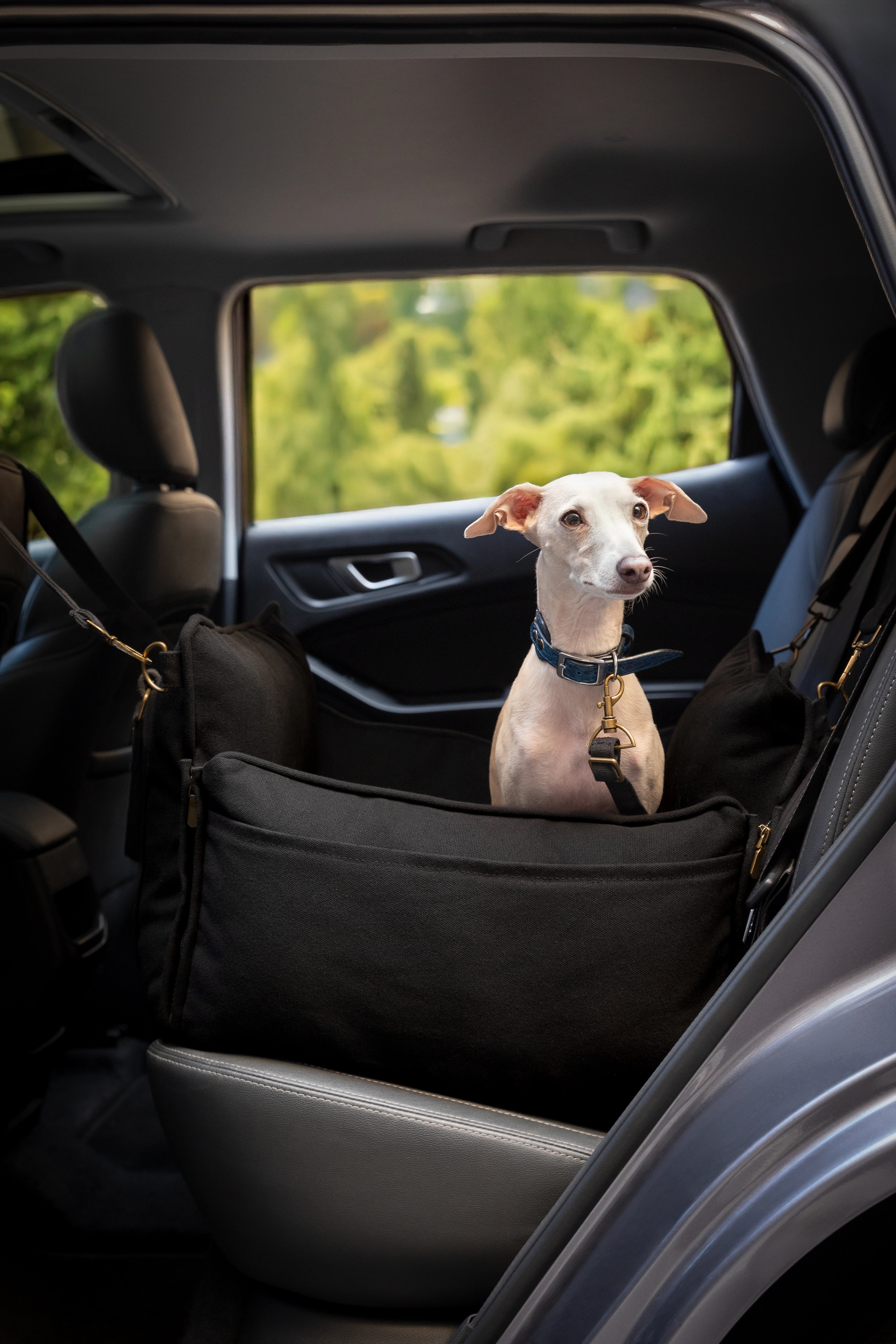 Dog Car Seat Portable Style Canvas Black