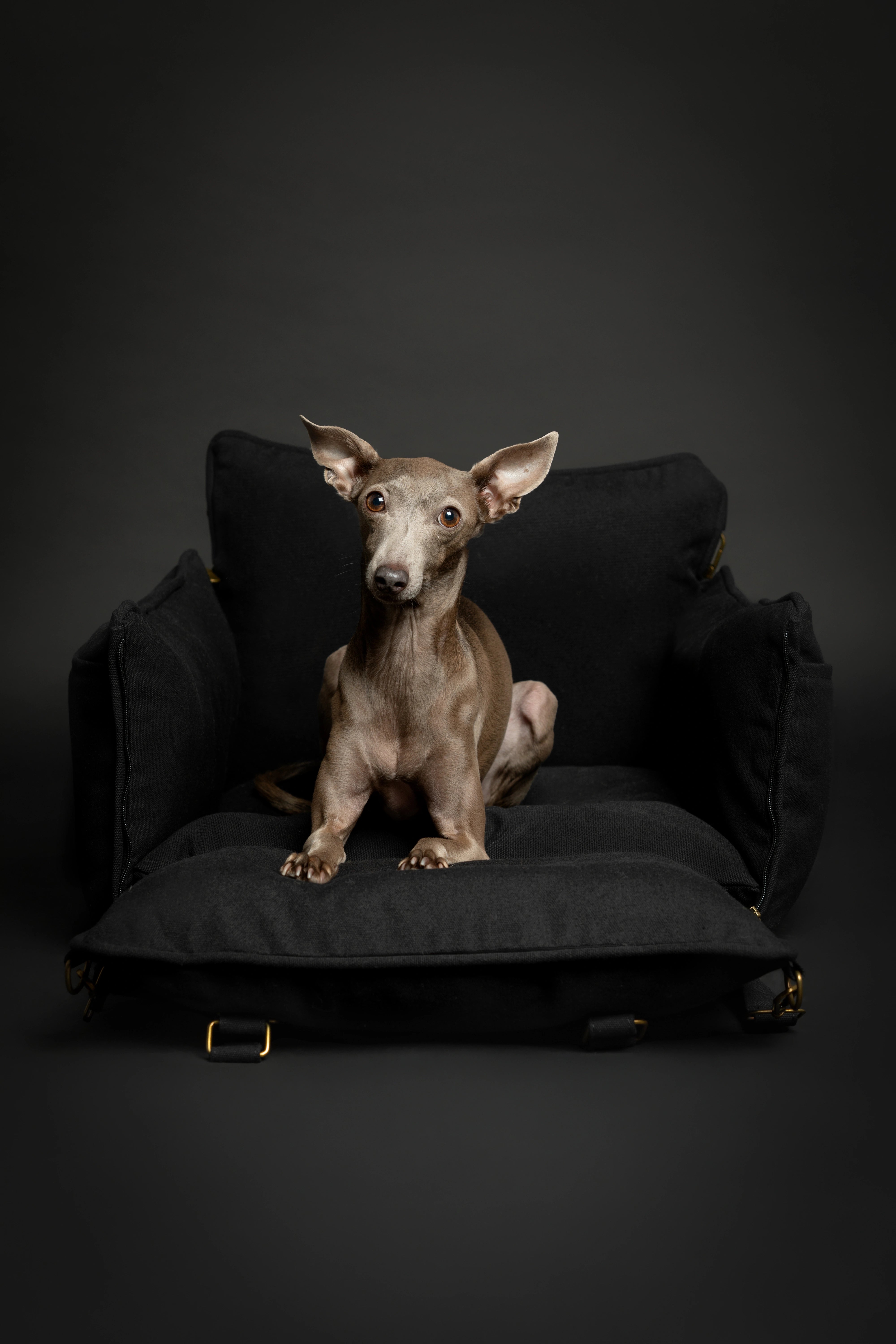 Dog Car Seat Portable Style Canvas Black