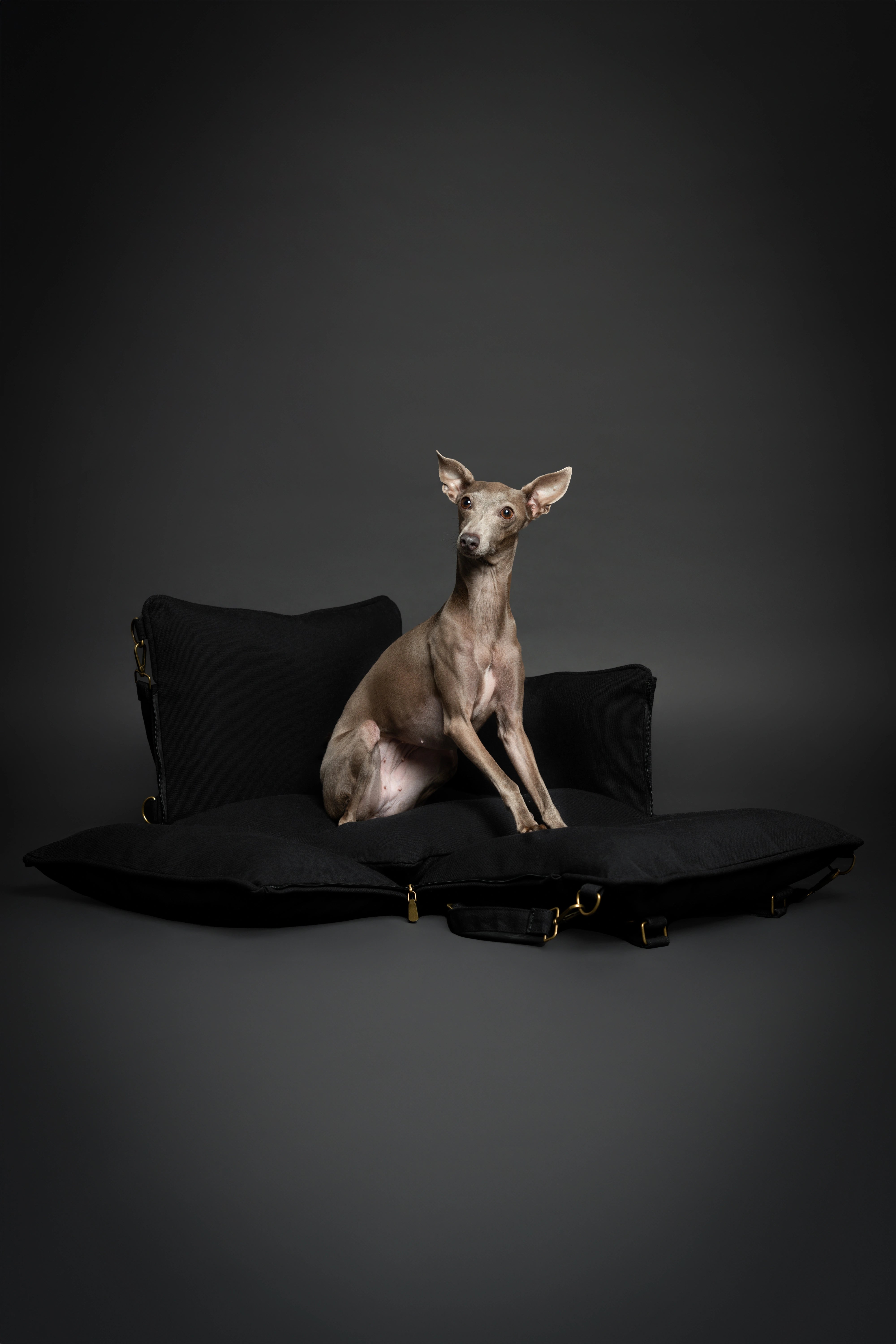 Dog Car Seat Portable Style Canvas Black