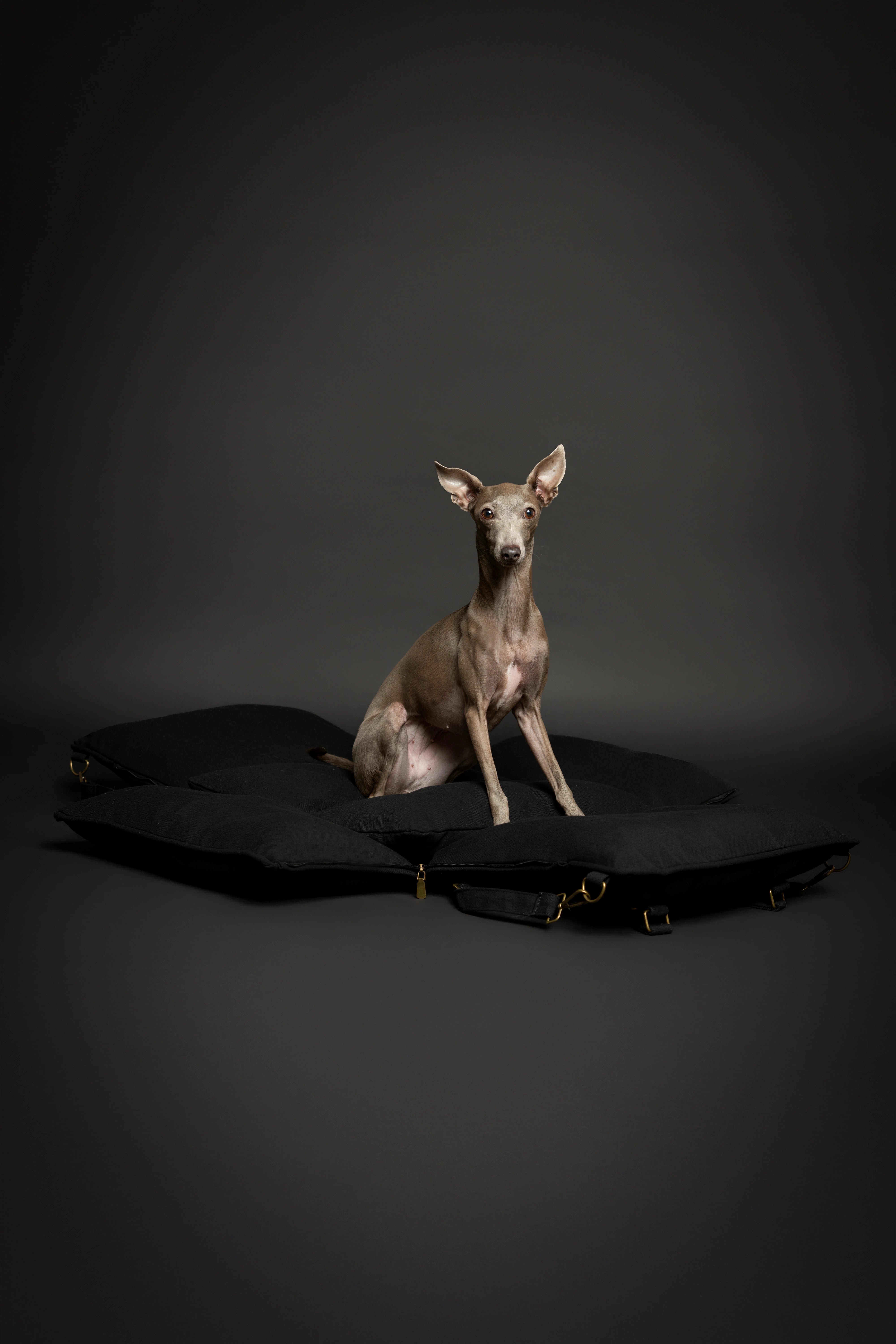 Dog Car Seat Portable Style Canvas Black