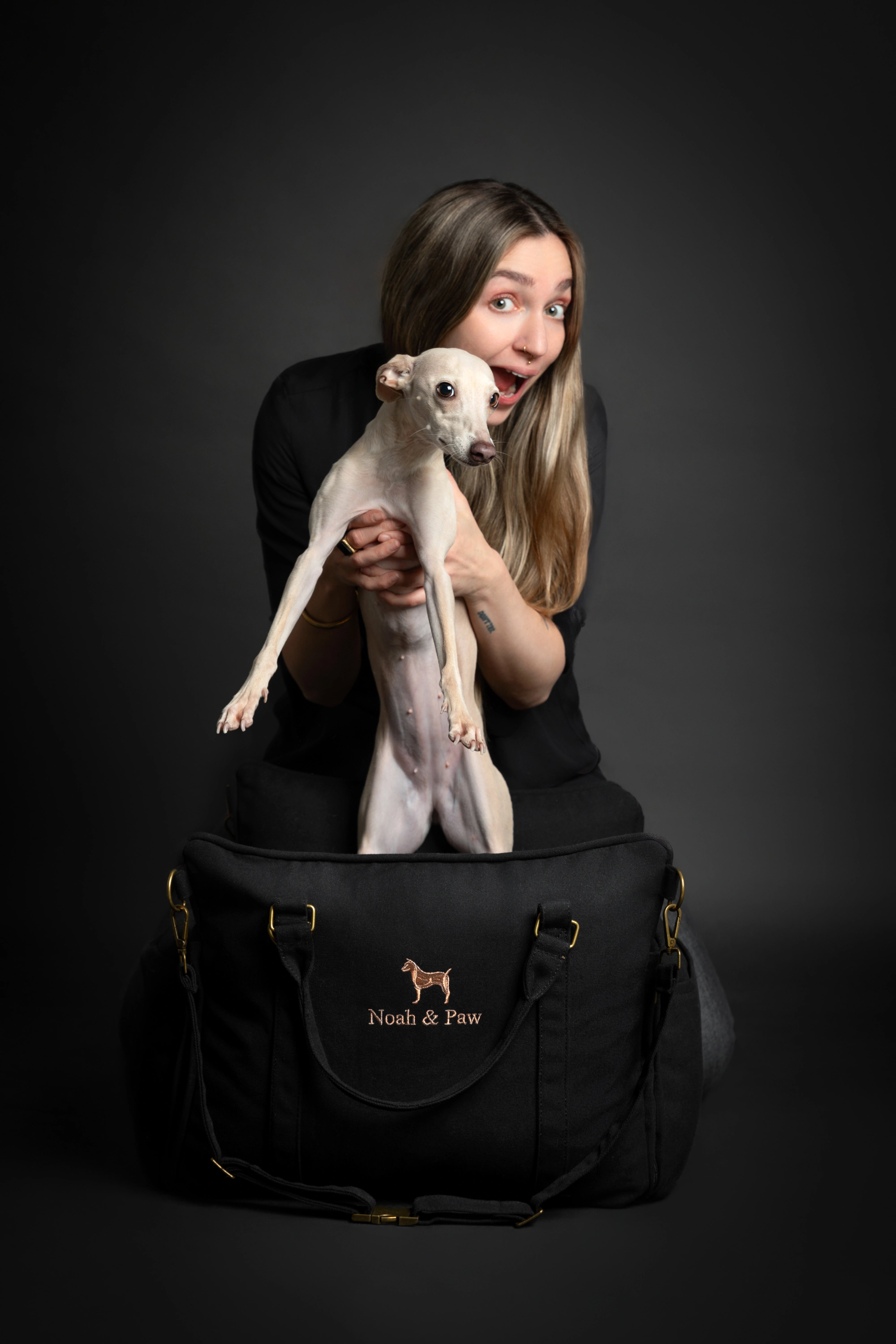 Dog Car Seat Portable Style Canvas Black