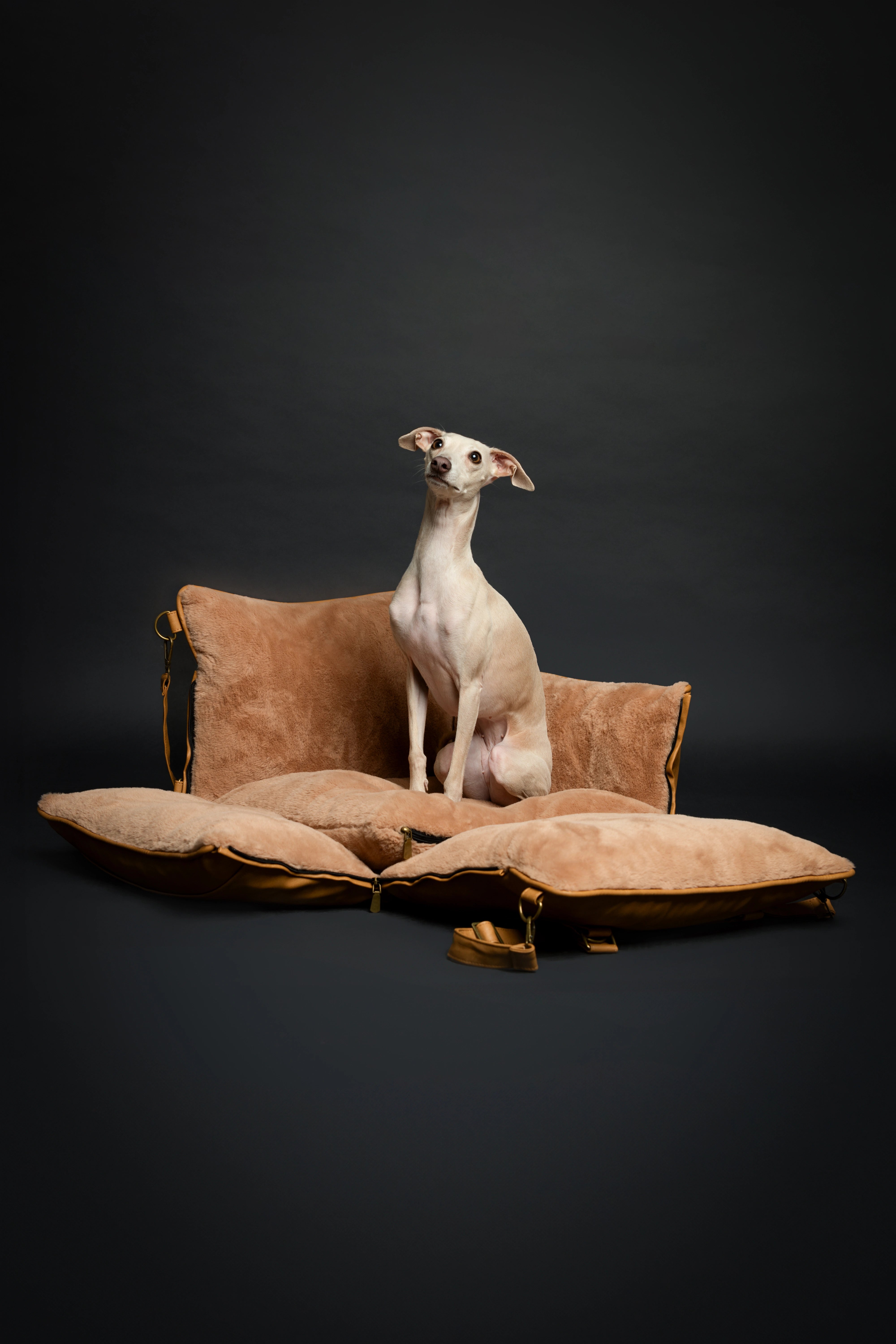 Dog Car Seat Portable Style Faux Leather Camel