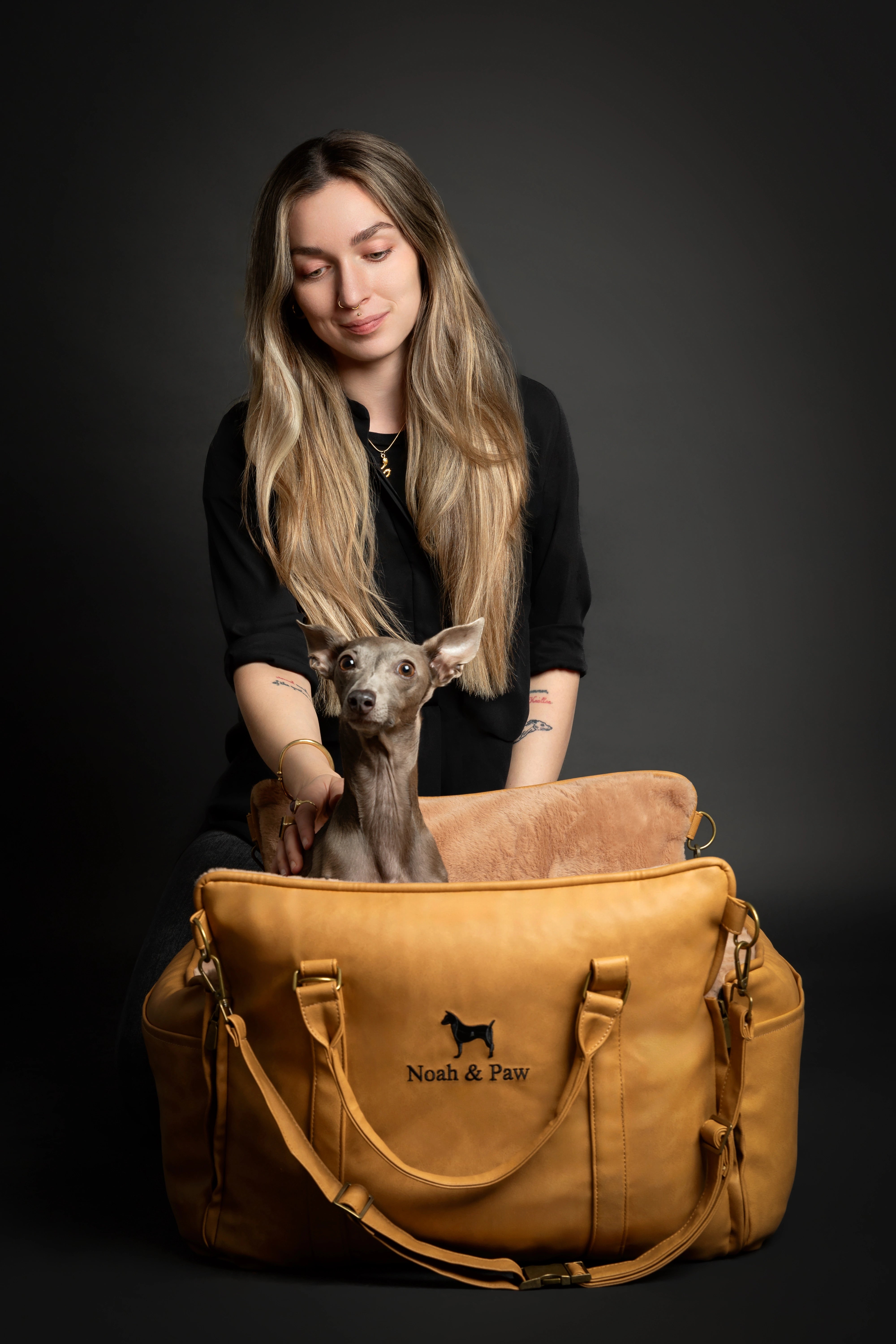 Dog Car Seat Portable Style Faux Leather Camel