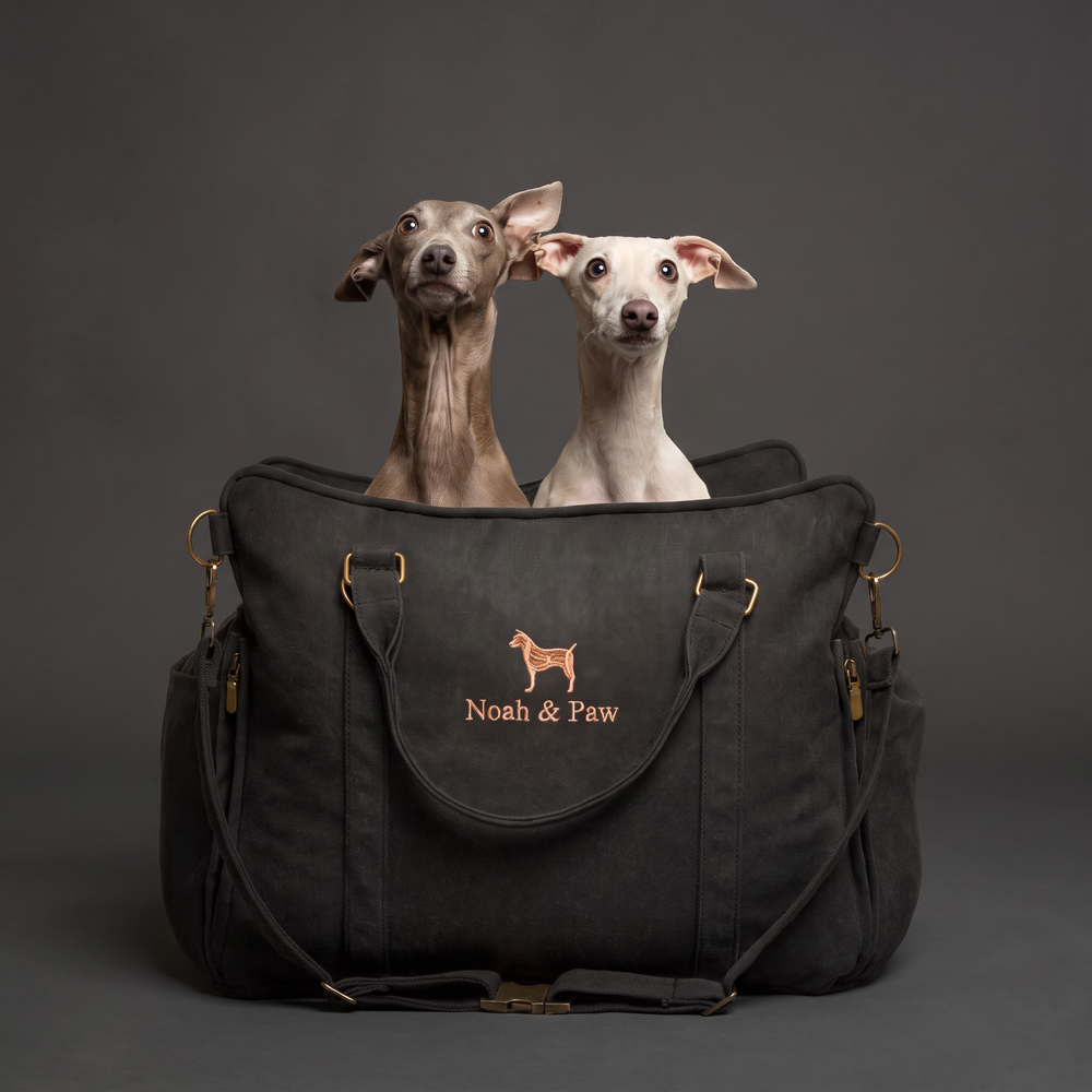 Noah & Paw orthopedic dog car seat carrier, charcoal canvas, with two Italian greyhounds