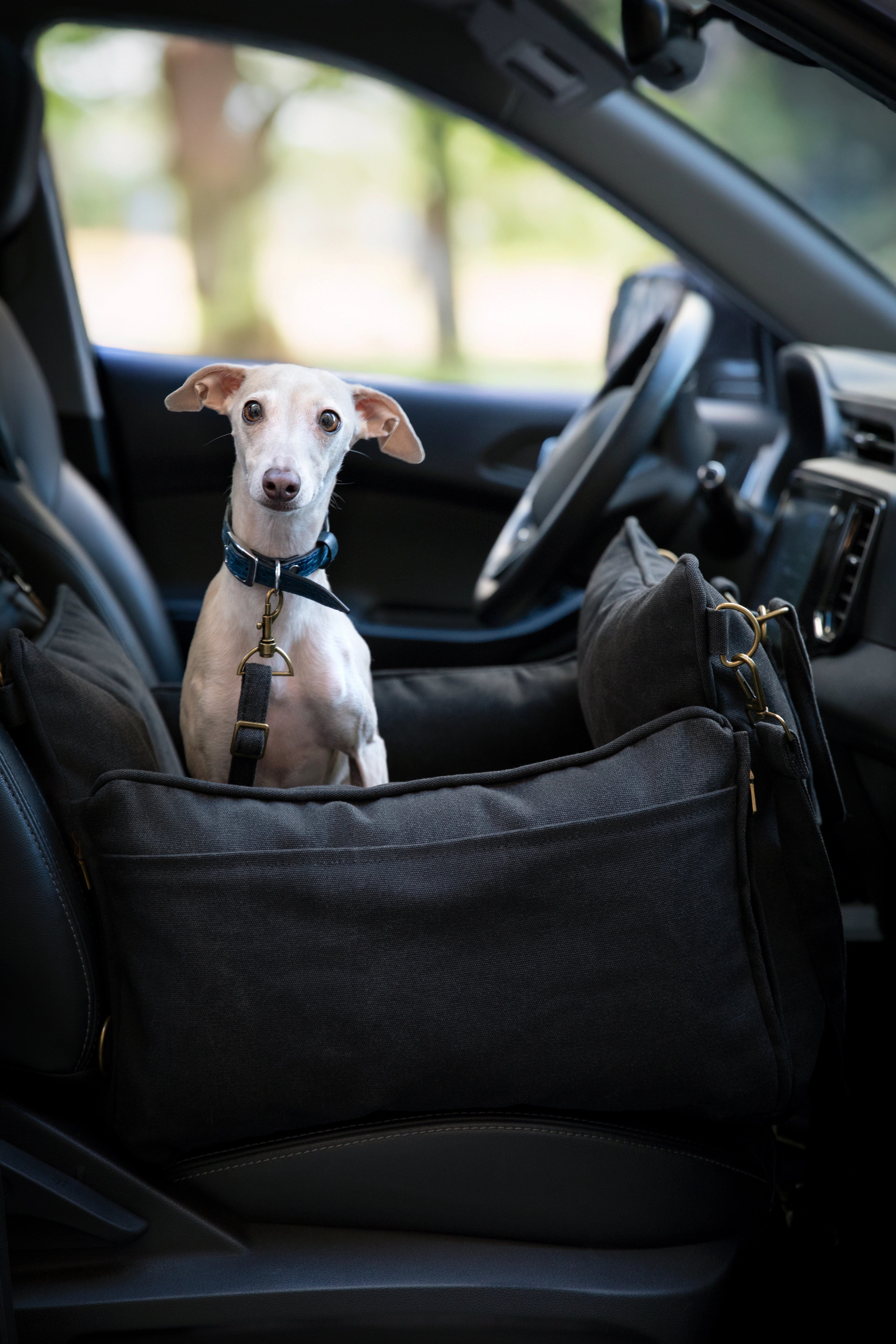 Dog Car Seat Portable Style Canvas Charcoal