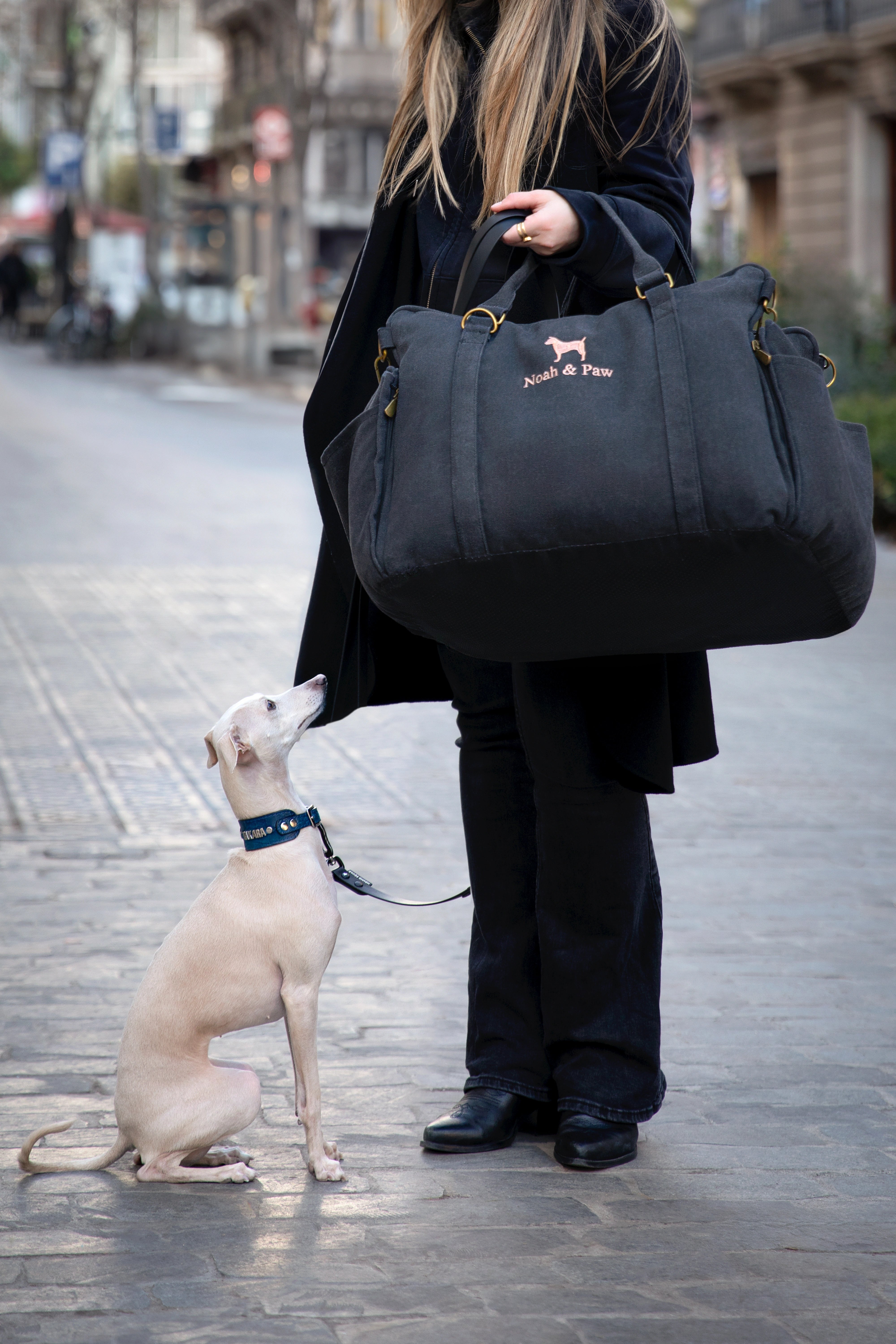 Dog Car Seat Portable Style Canvas Charcoal