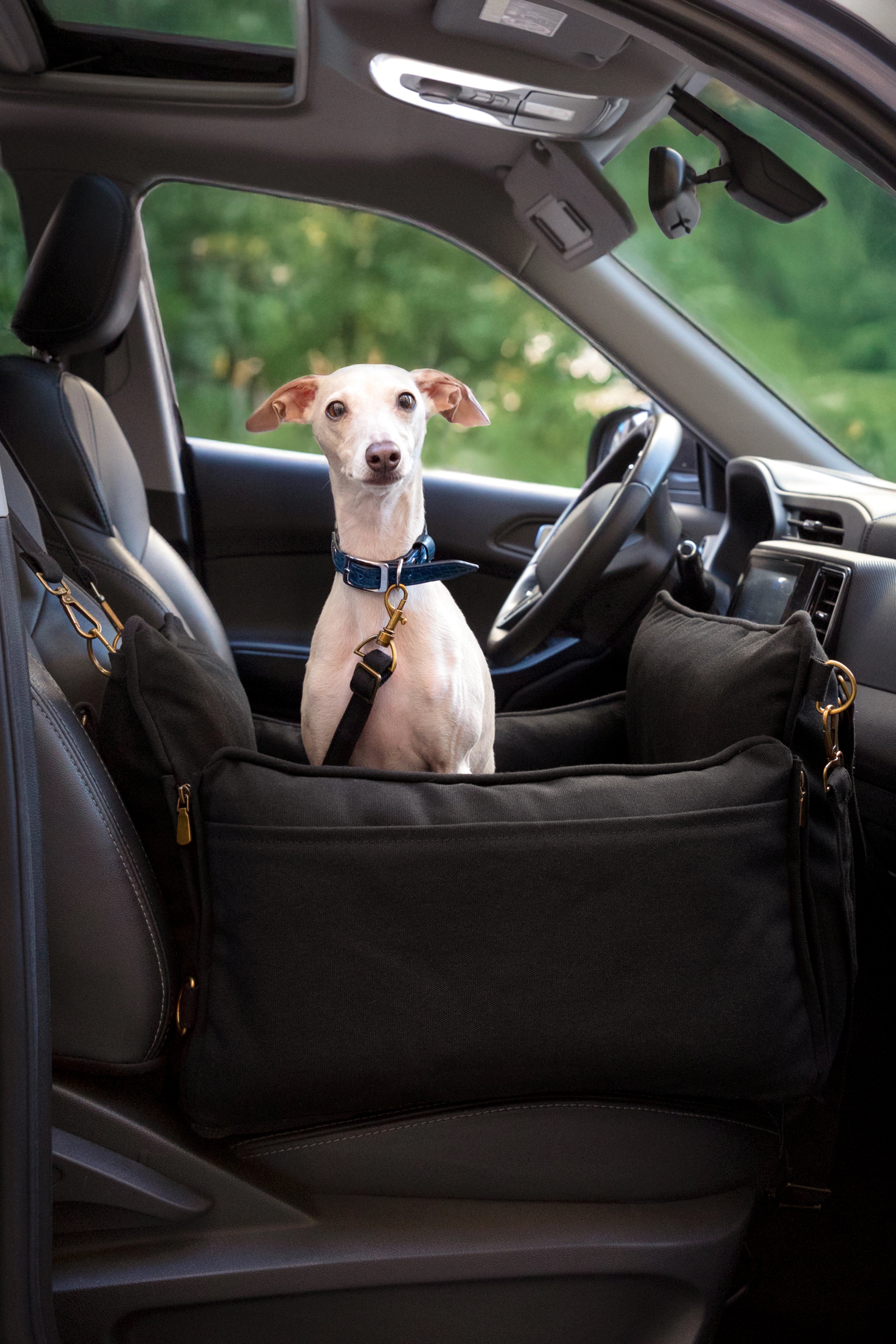 Dog Car Seat Portable Style Canvas Charcoal