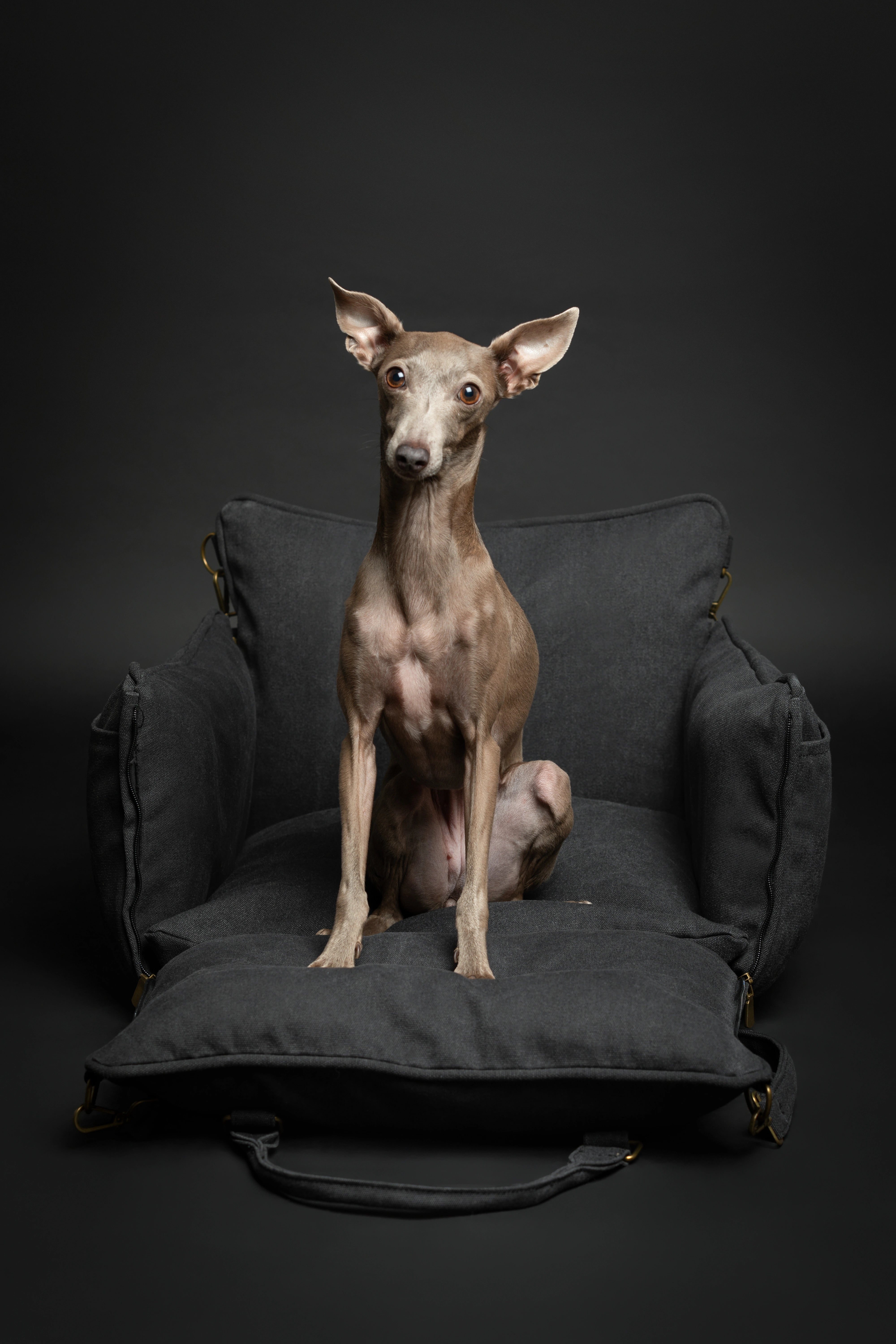 Dog Car Seat Portable Style Canvas Charcoal