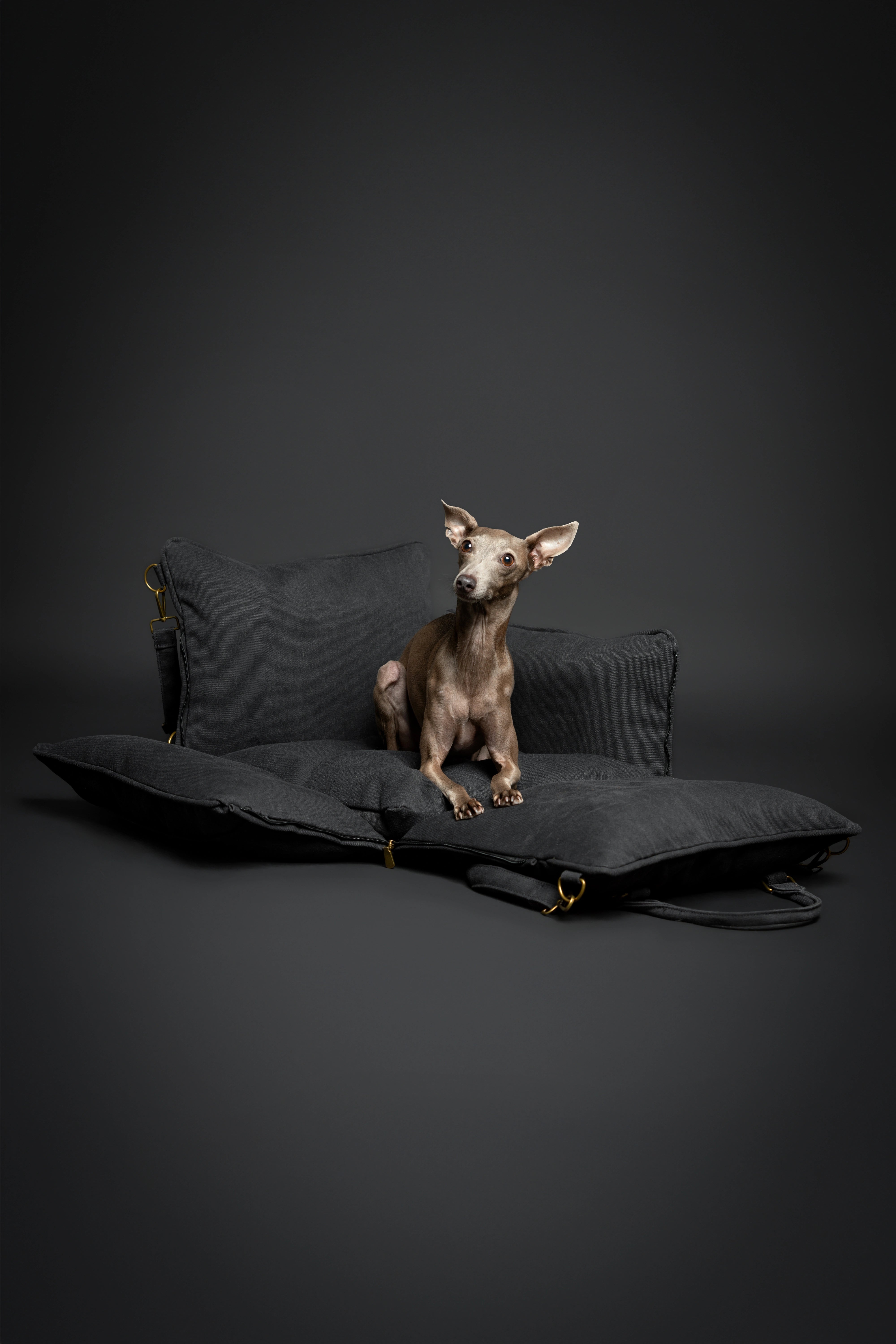 Dog Car Seat Portable Style Canvas Charcoal