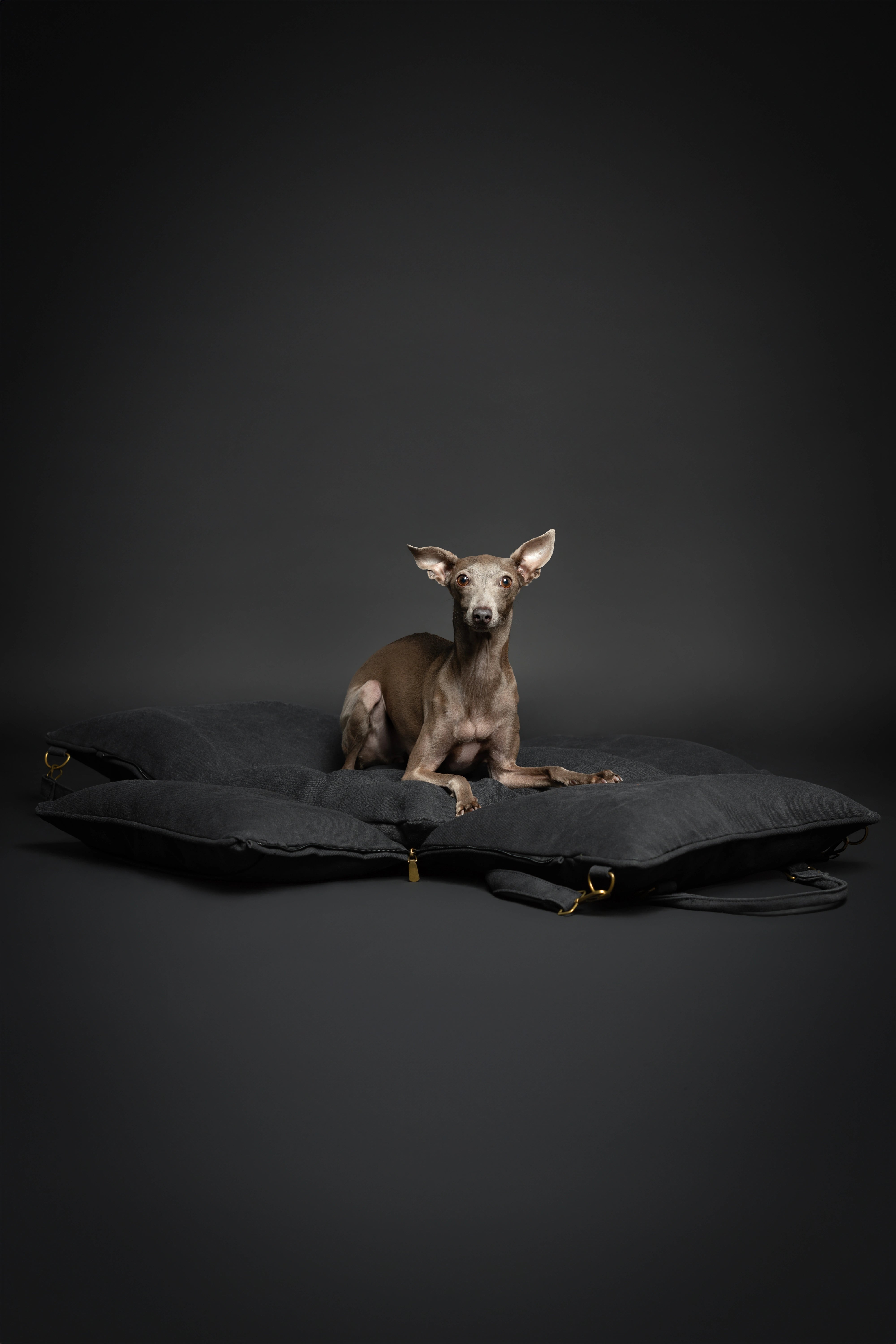 Dog Car Seat Portable Style Canvas Charcoal