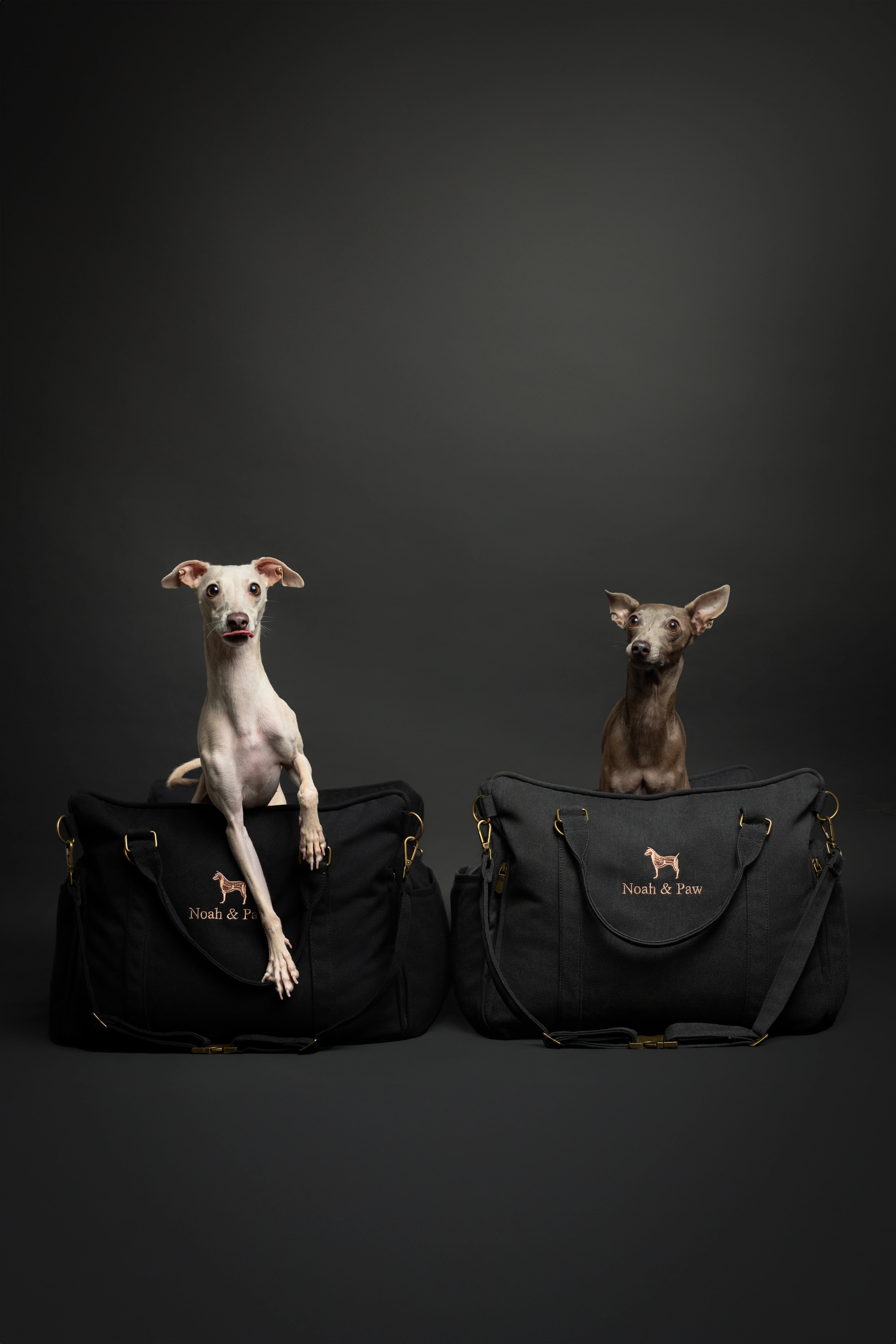 Dog Car Seat Portable Style Canvas Charcoal