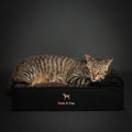 Denim Orthopedic Pet Bed, Memory Foam, Infused with Cooling Gel - Classic
