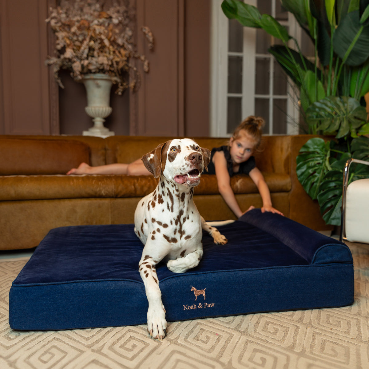 Noah & Paw orthopedic classic dog bed in denim with memory foam and cooling gel, dark blue, size XL (45 x 35 x 9 in)