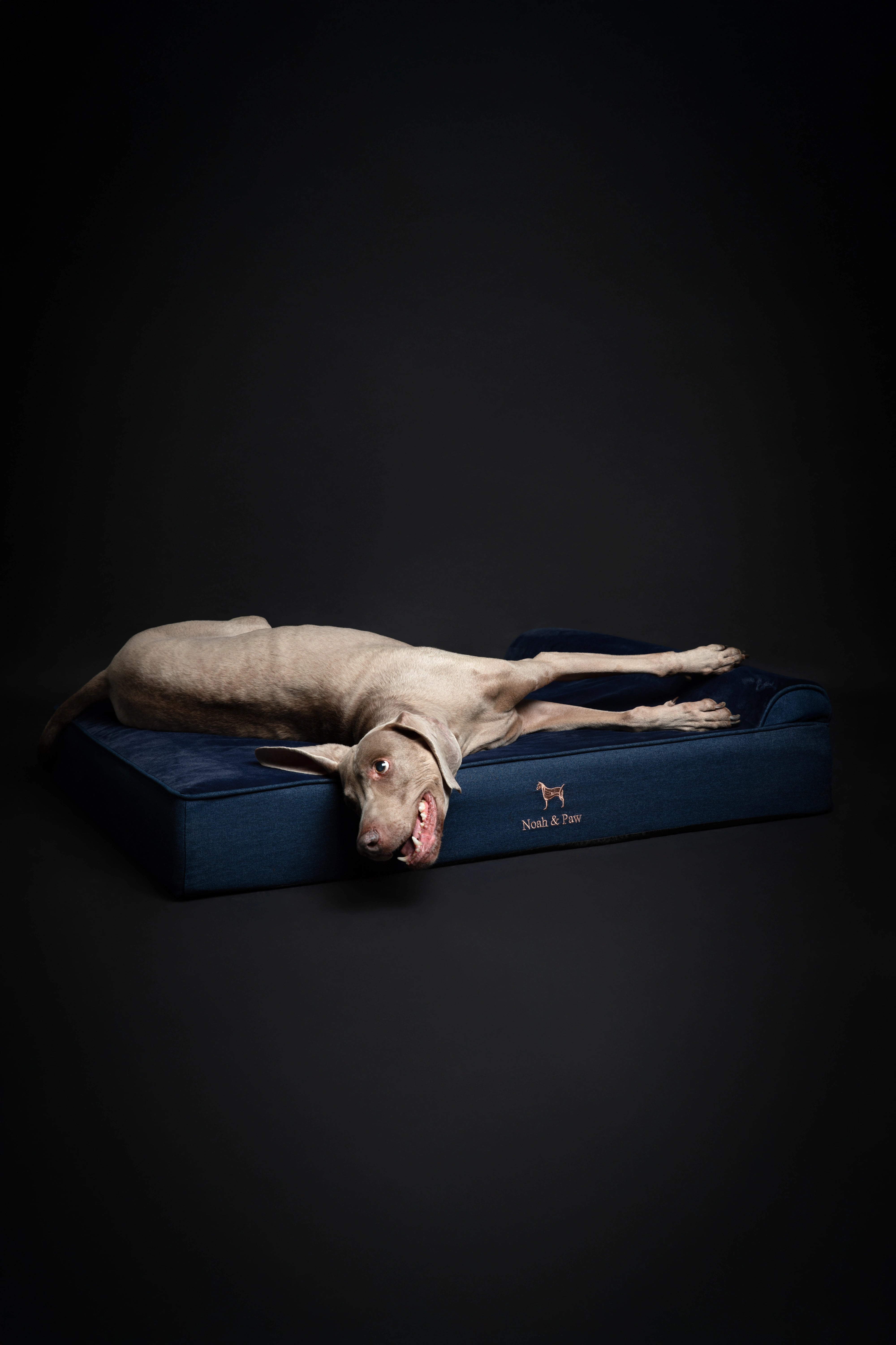 Denim, Orthopedic Pet Bed, Classic Style - Dark Blue - XL