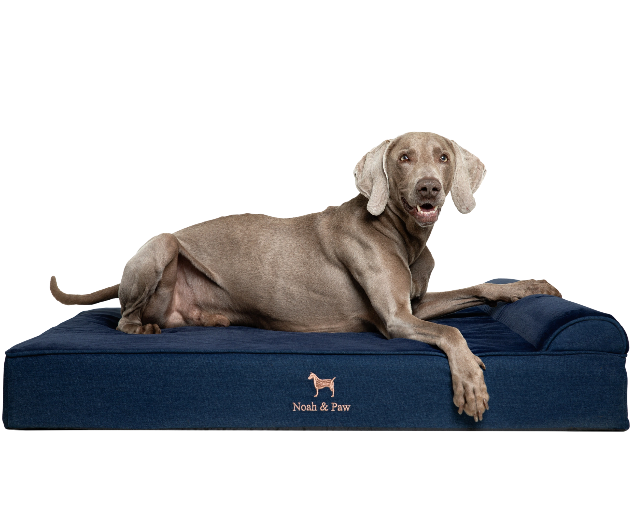 NOAH & PAW Orthopädisches Hundebett Mit Kühlgel – Wasserdicht, Waschbar, Größe 50x38 Cm