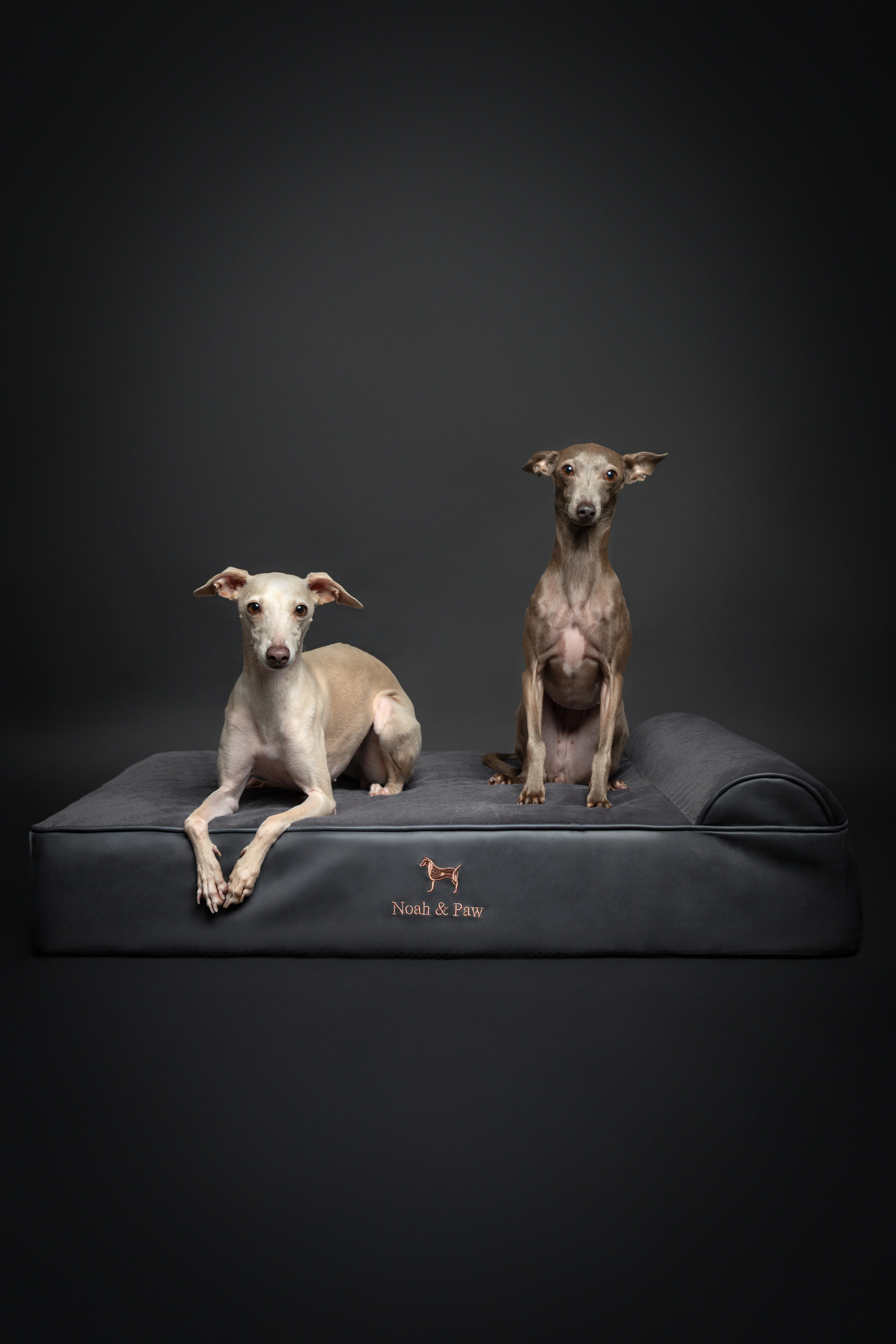 Orthopedic Faux Leather Pet Bed Classic Style - Black - L