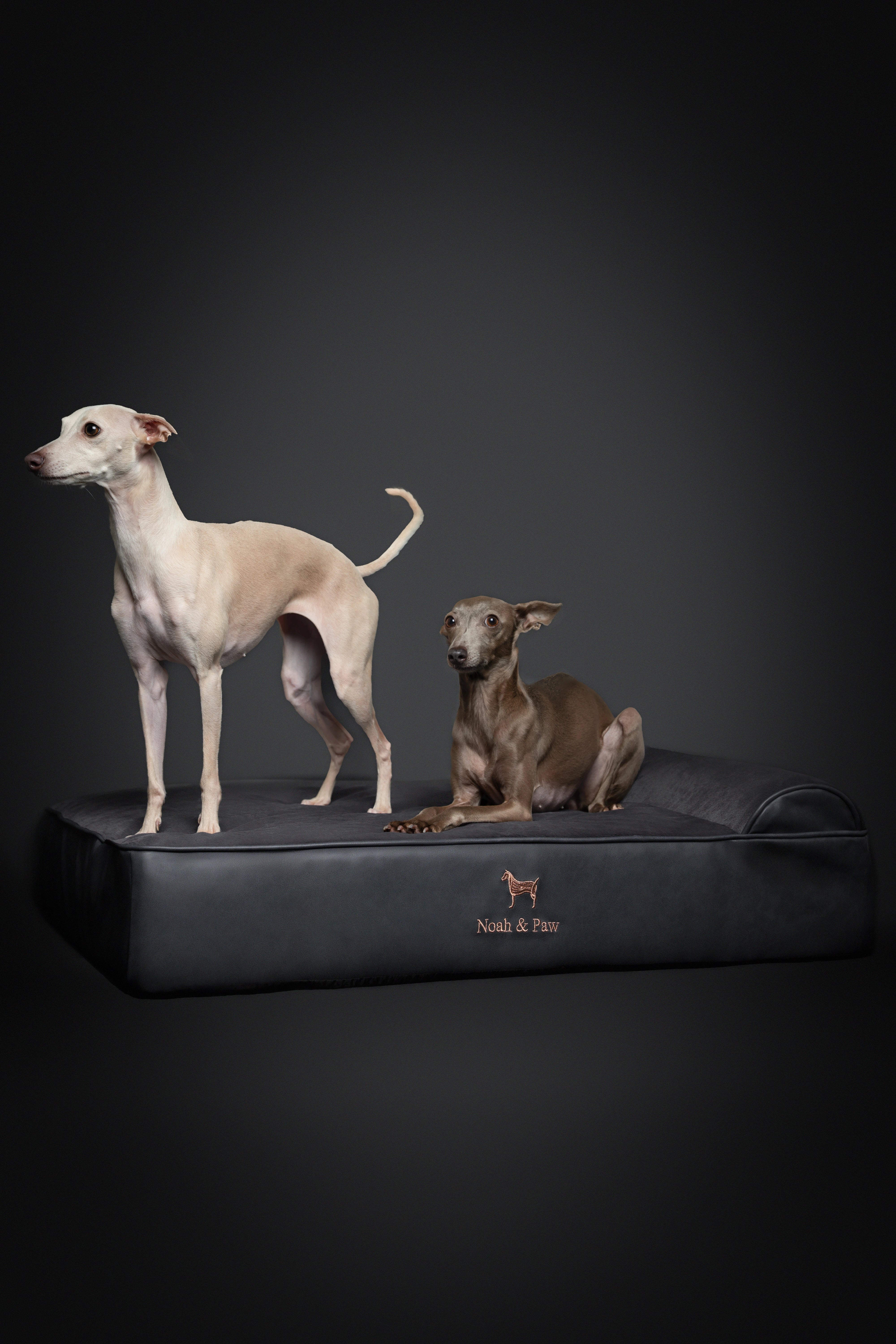 Orthopedic Faux Leather Pet Bed Classic Style - Black - L