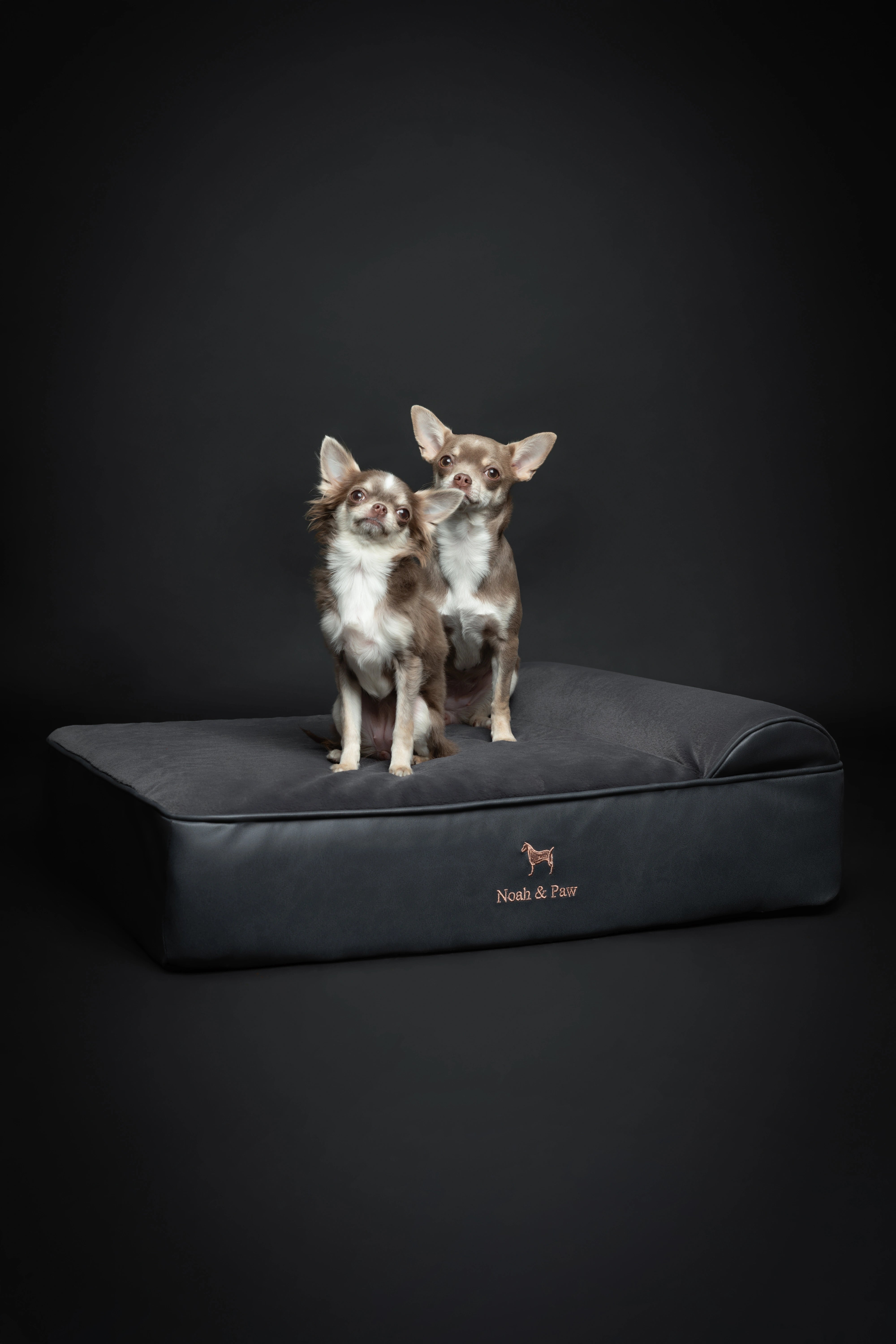Orthopedic Faux Leather Pet Bed Classic Style - Black - M