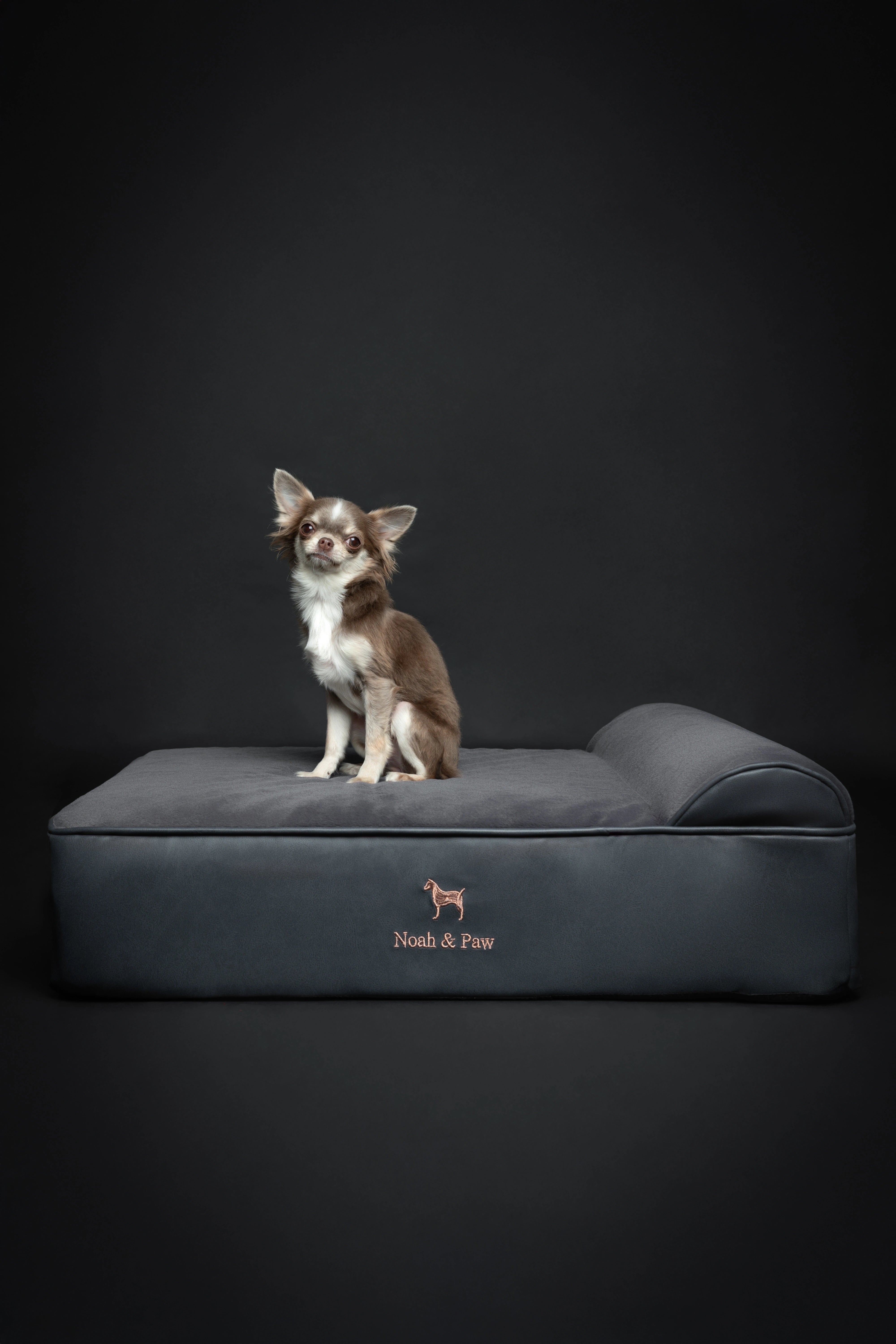 Orthopedic Faux Leather Pet Bed Classic Style - Small - M