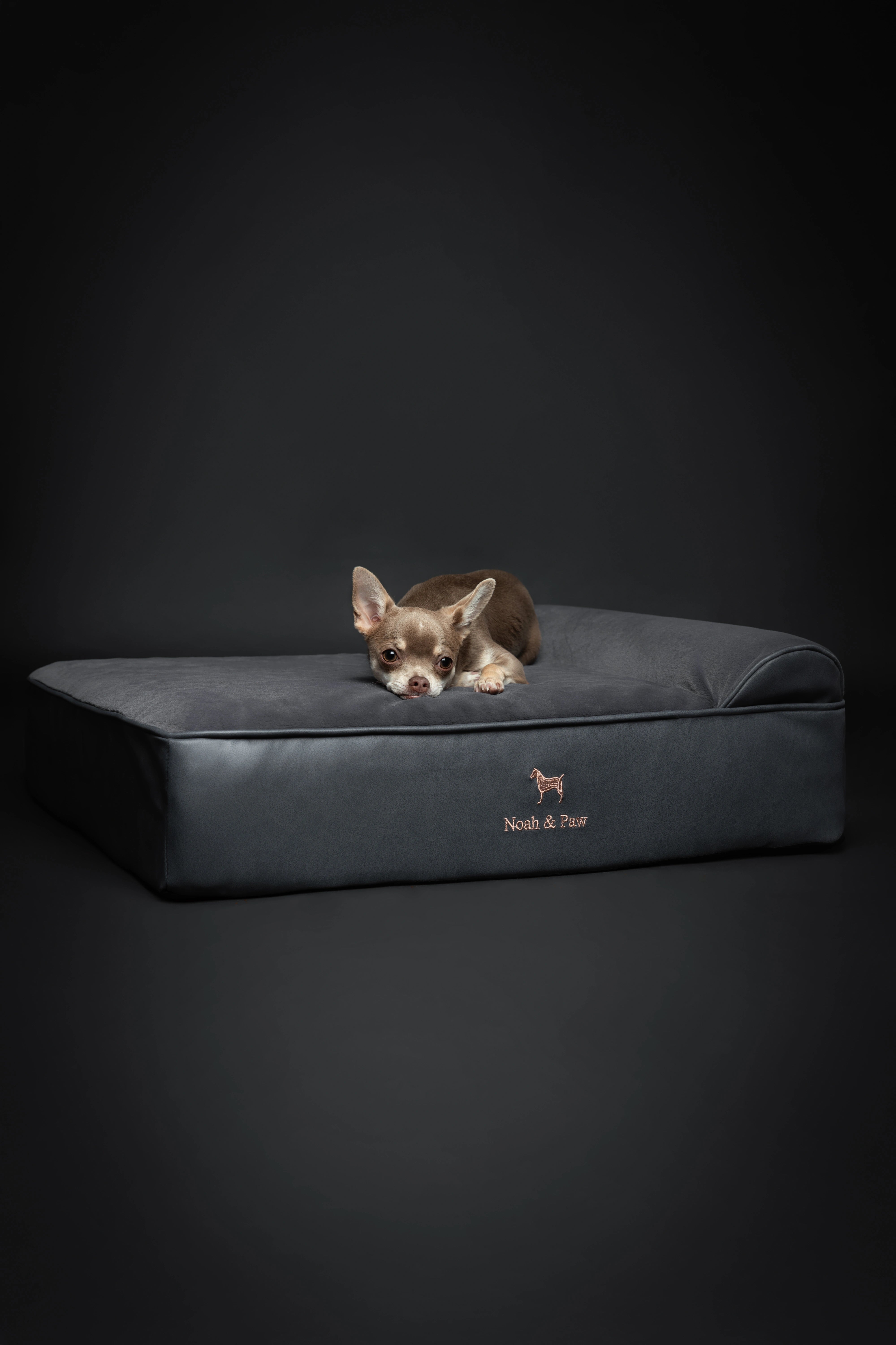 Orthopedic Faux Leather Pet Bed Classic Style - Black - M