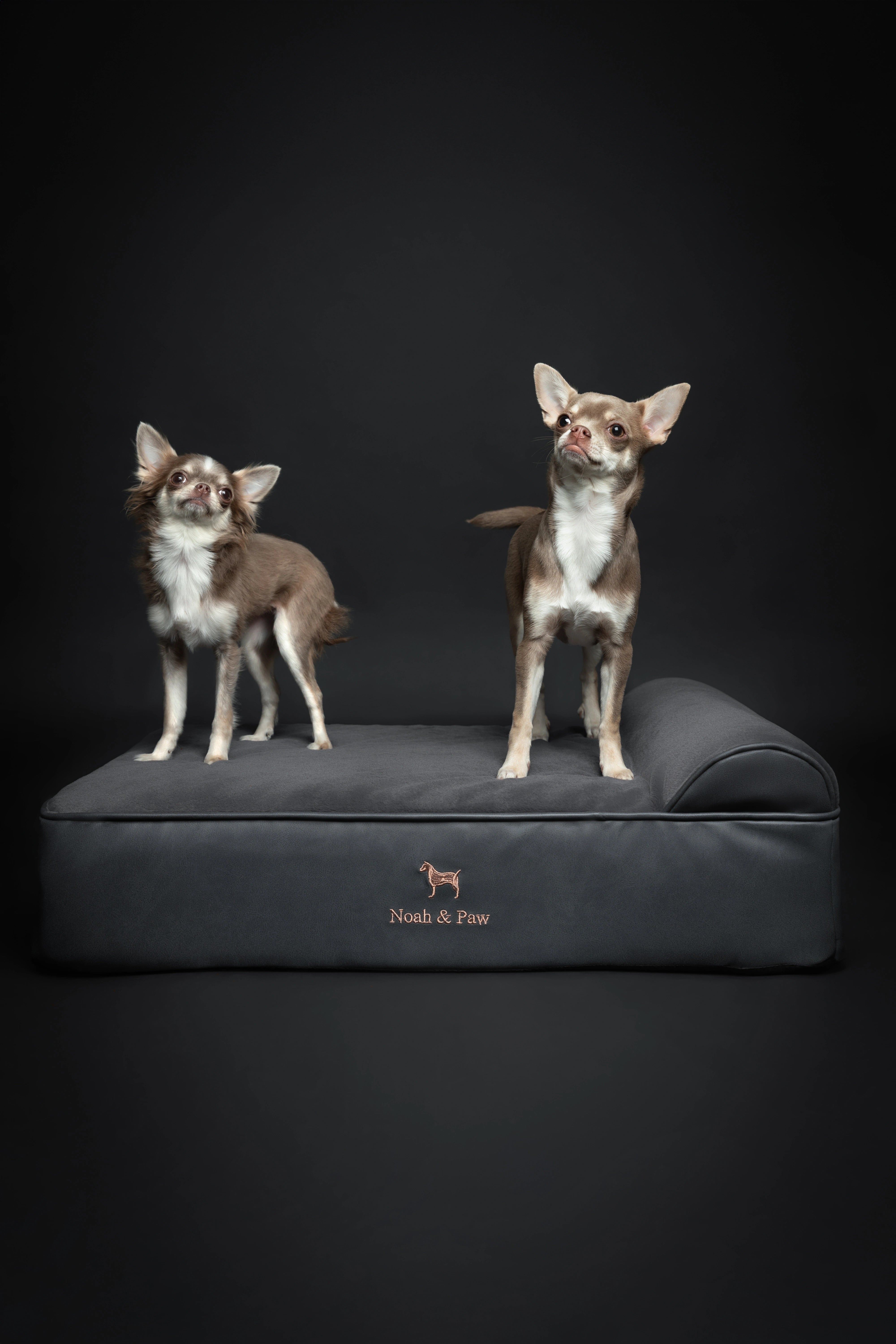 Orthopedic Faux Leather Pet Bed Classic Style - Black - M