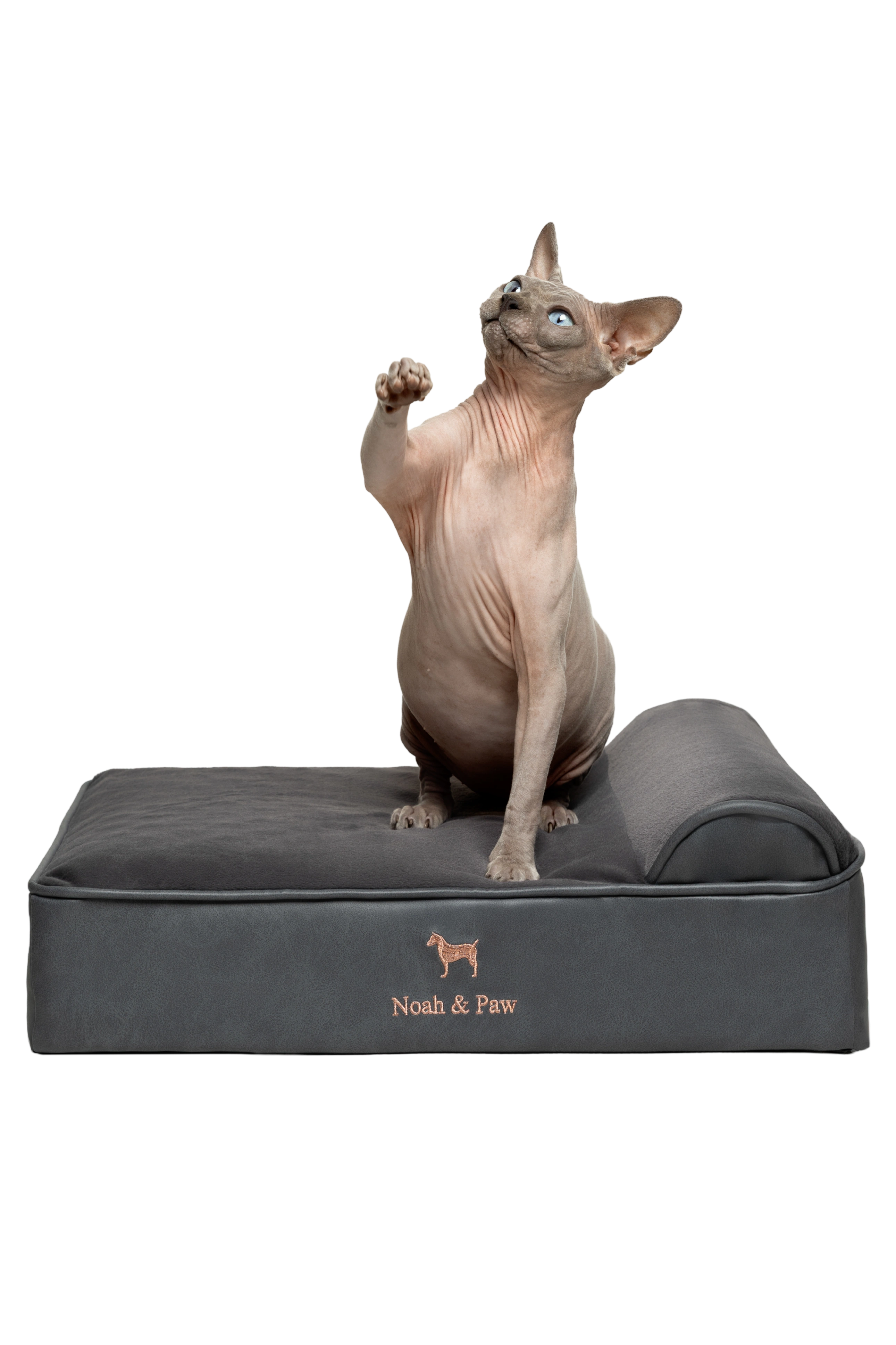 Orthopedic Faux Leather Pet Bed Classic Style - Black - S