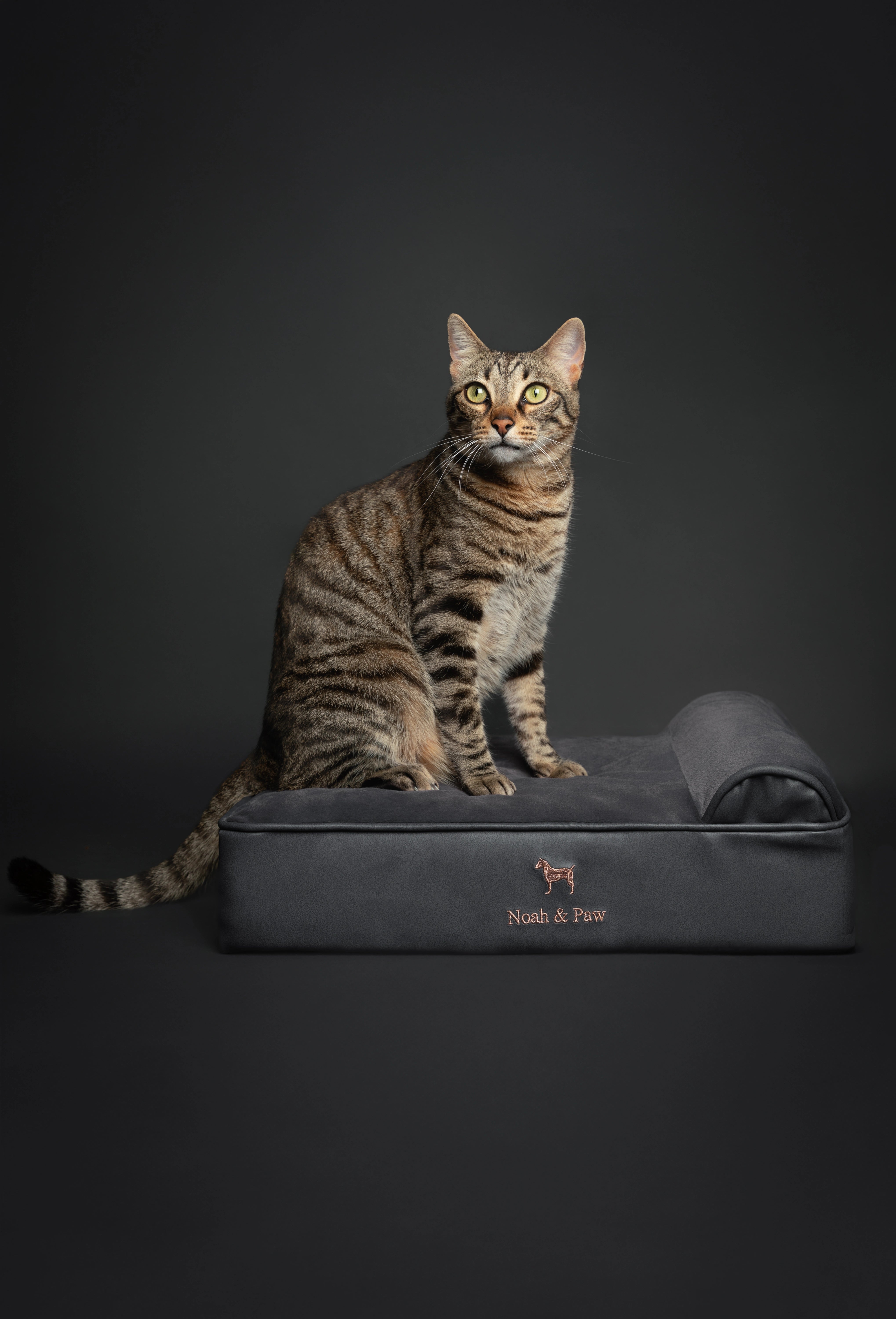 Orthopedic Faux Leather Pet Bed Classic Style - Black - S