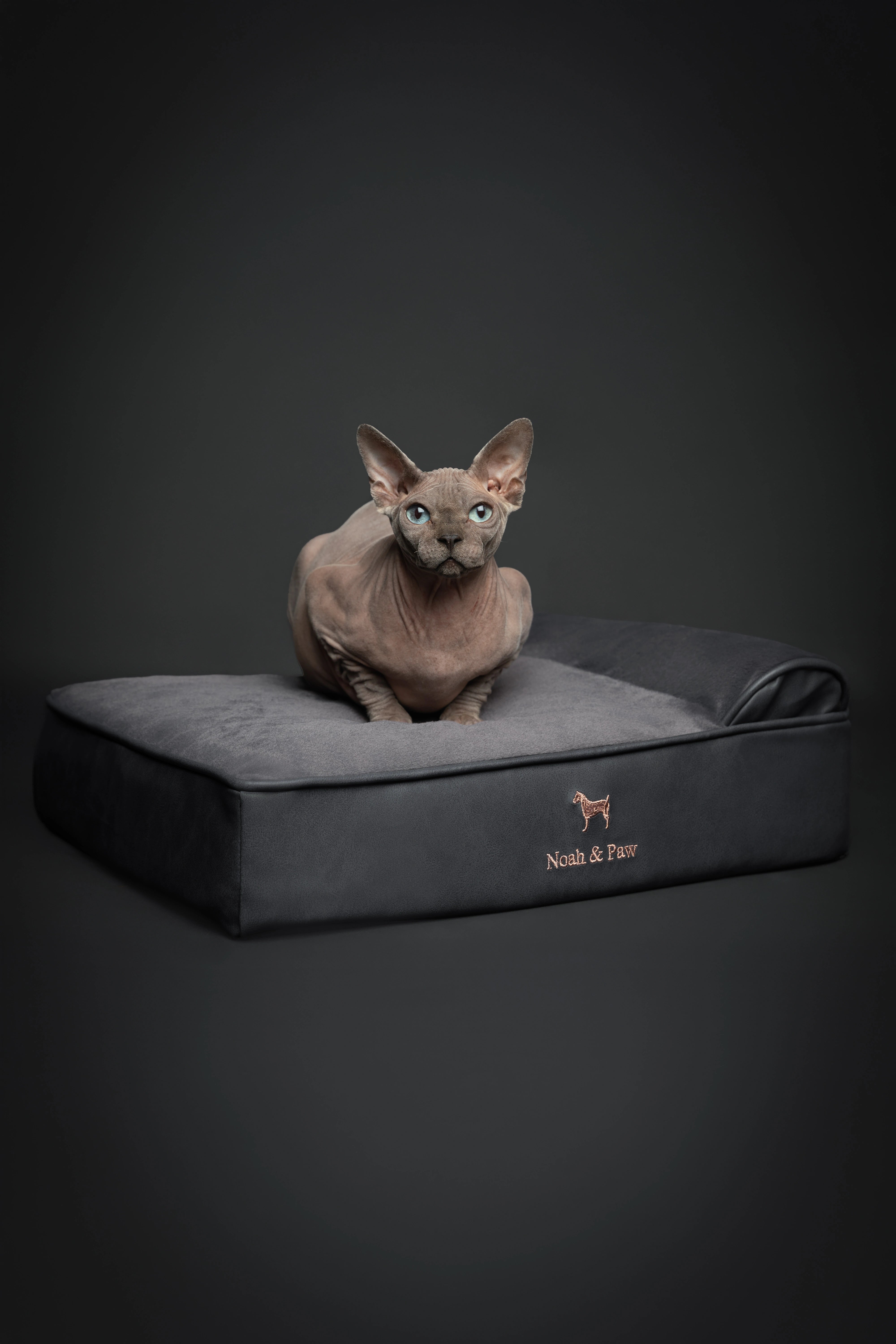 Orthopedic Faux Leather Pet Bed Classic Style - Black - S