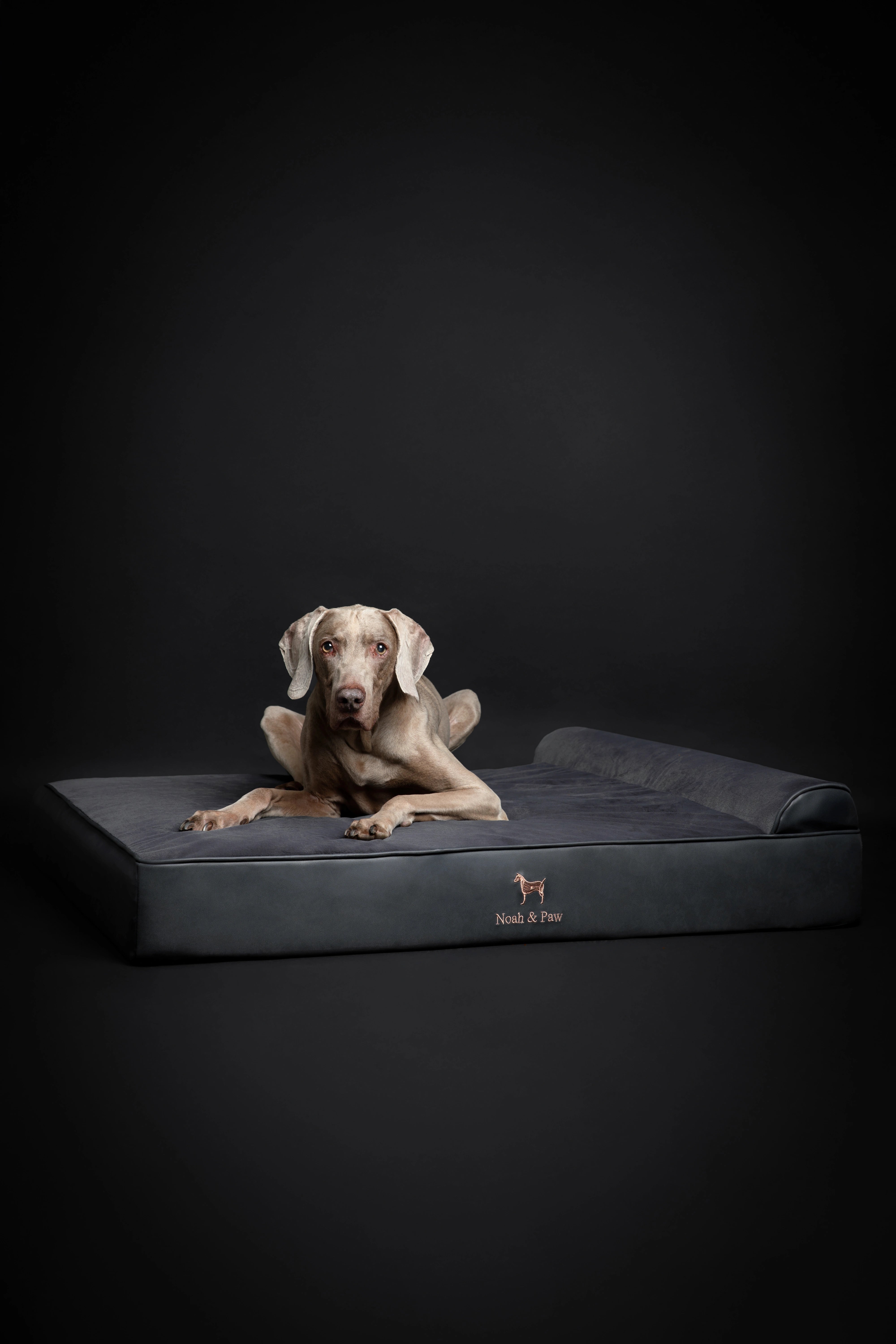 Orthopedic Faux Leather Pet Bed Classic Style - Black - XL
