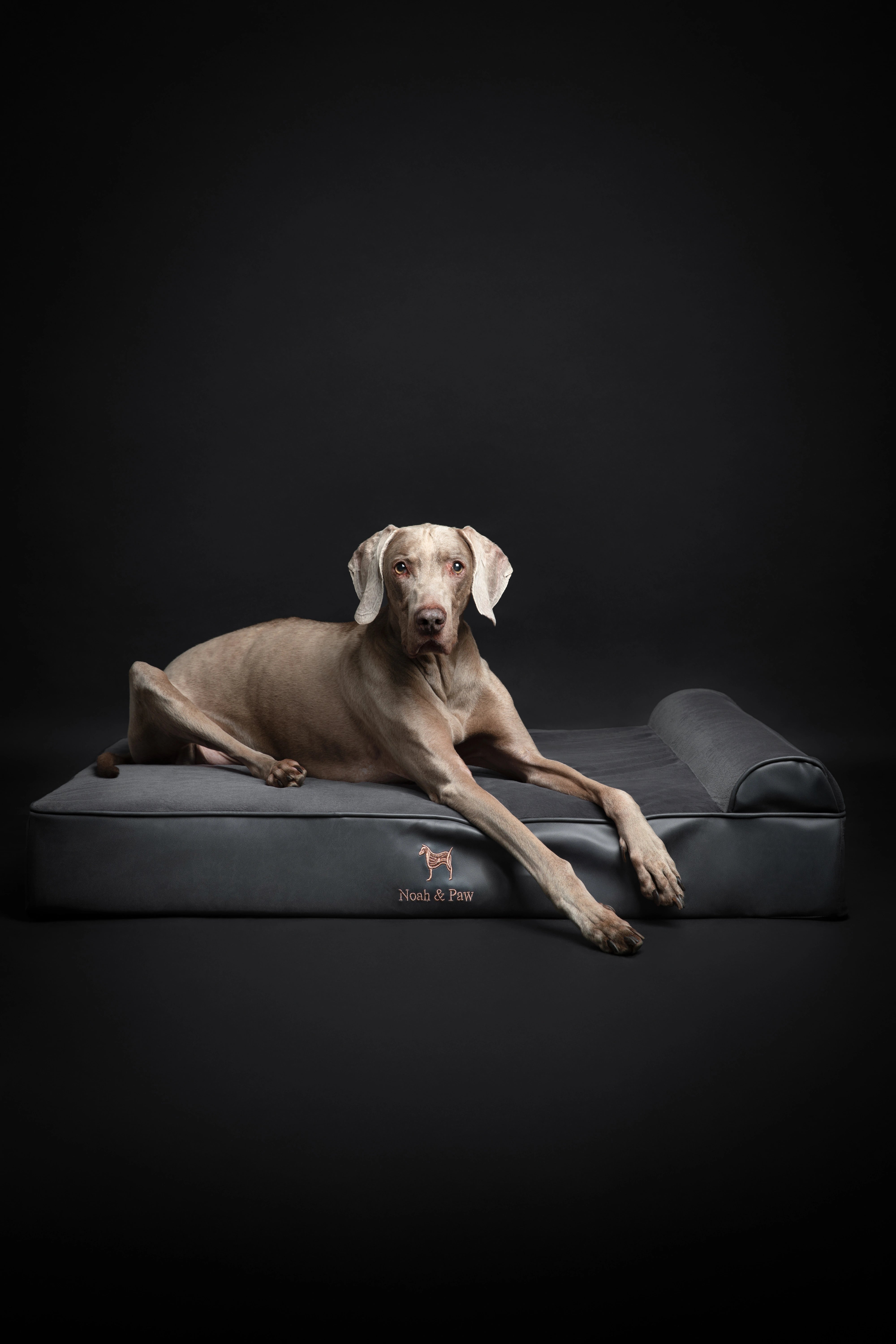 Orthopedic Faux Leather Pet Bed Classic Style - Black - XL