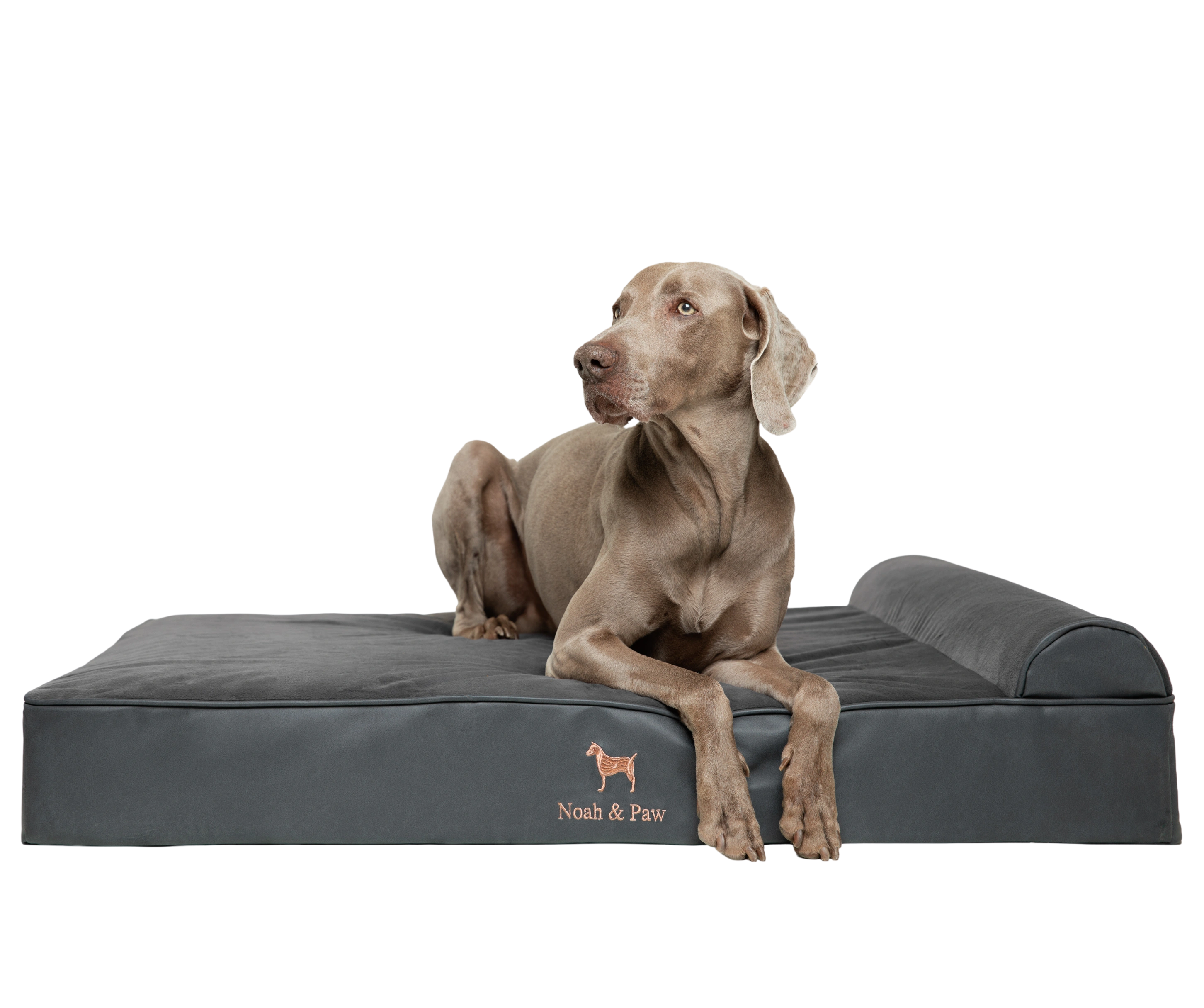 Orthopedic Faux Leather Pet Bed Classic Style - Black - XL