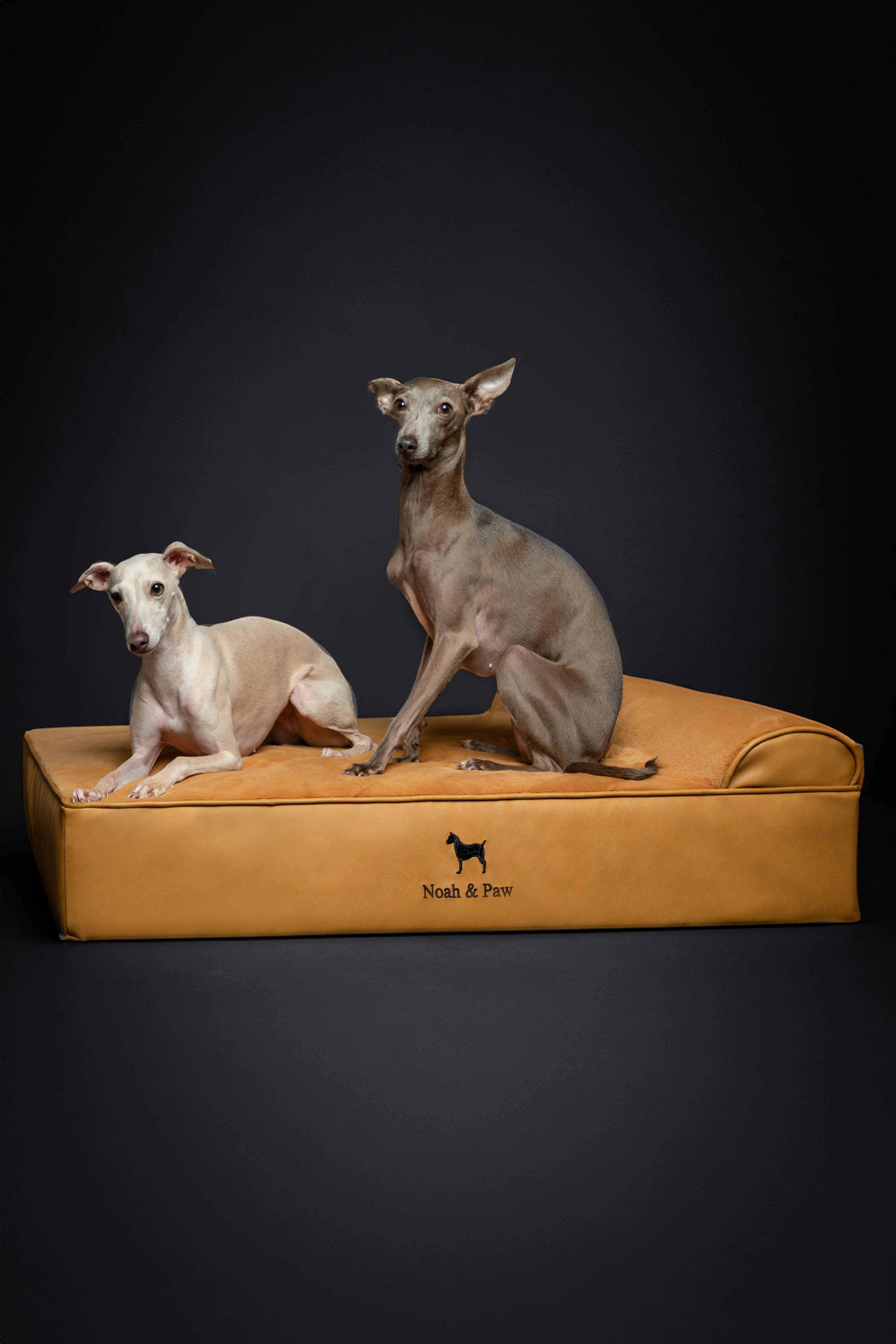 Orthopedic Faux Leather Pet Bed Classic Style - Camel - L