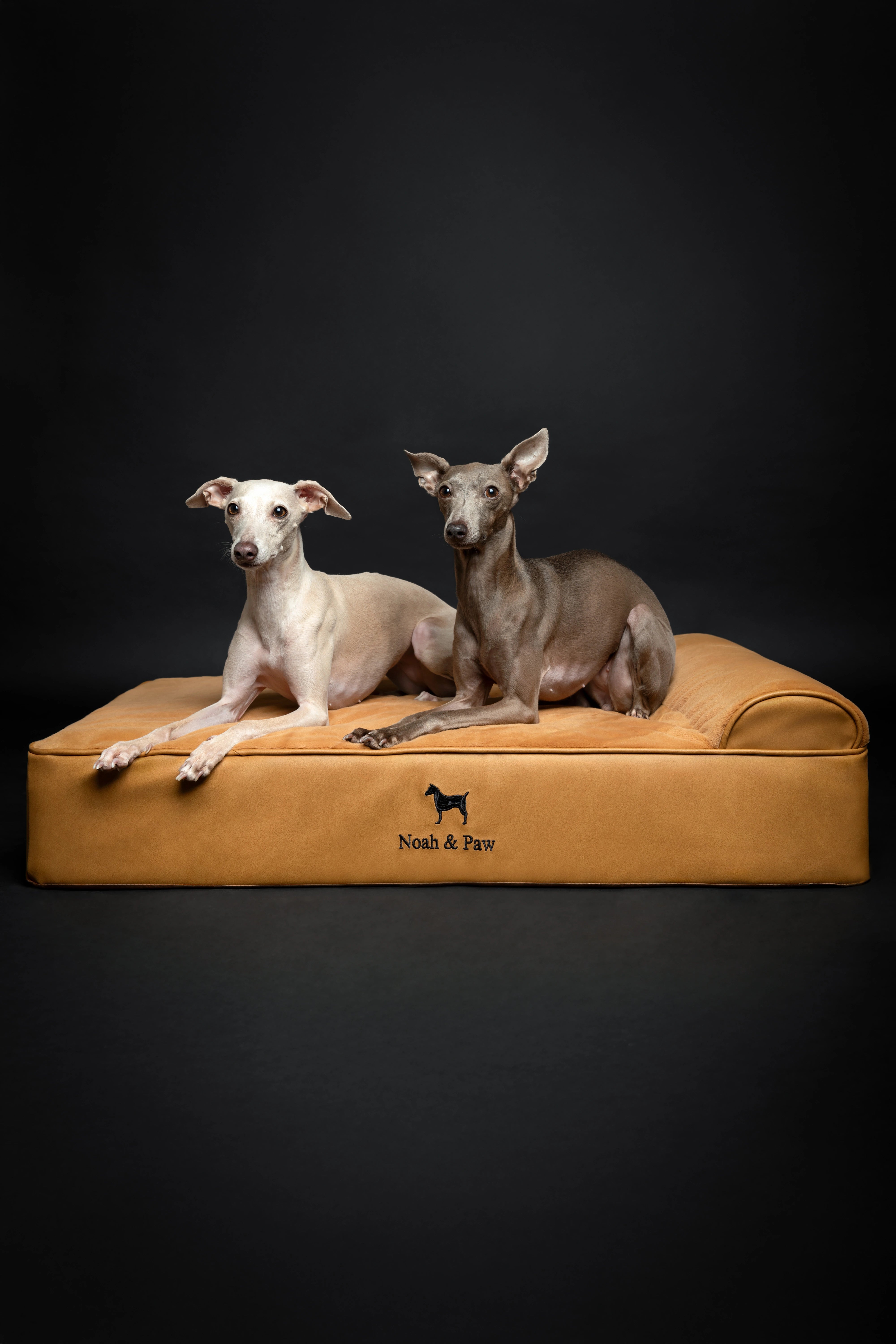 Orthopedic Faux Leather Pet Bed Classic Style - Camel - L