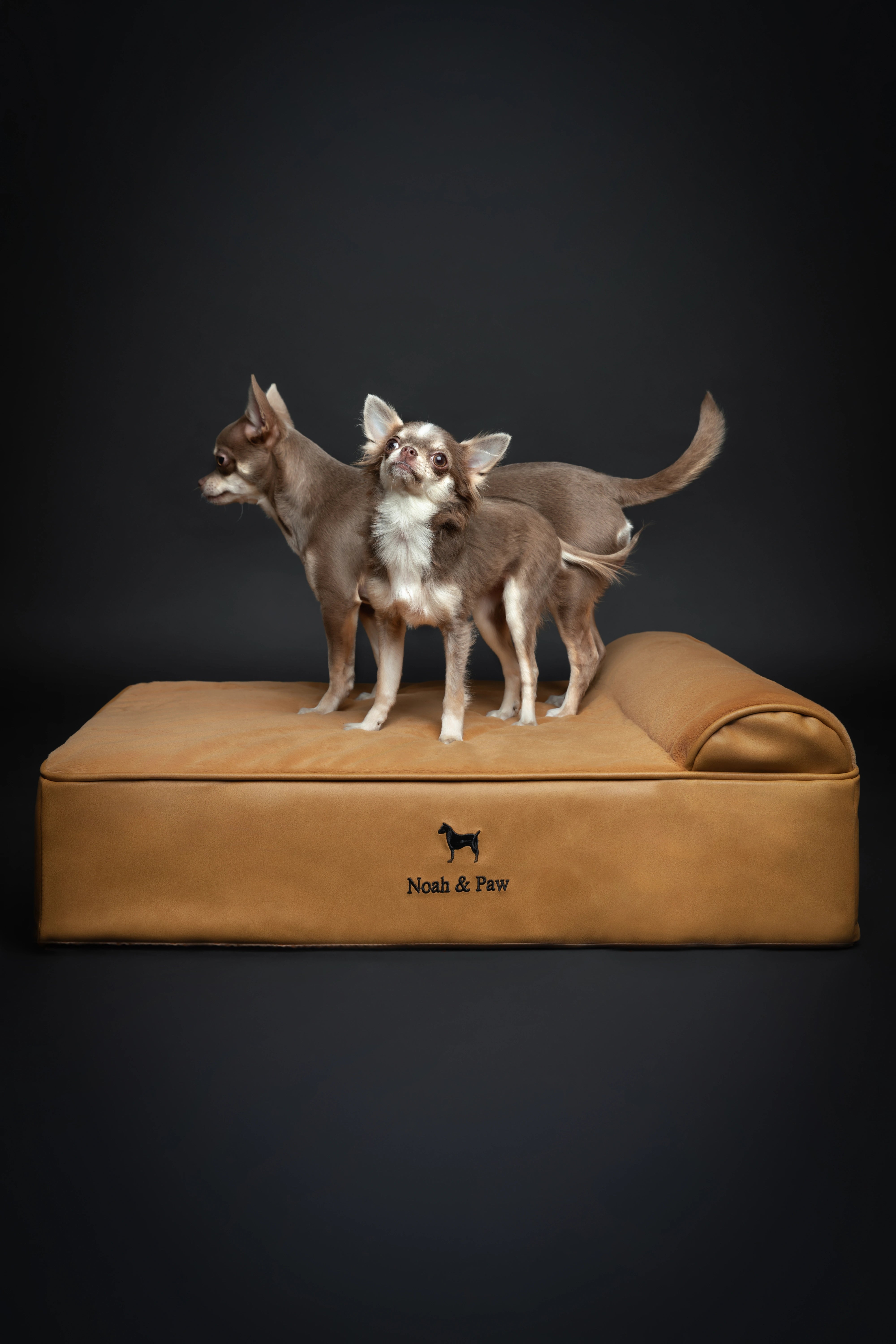 Orthopedic Faux Leather Pet Bed Classic Style - Camel - M