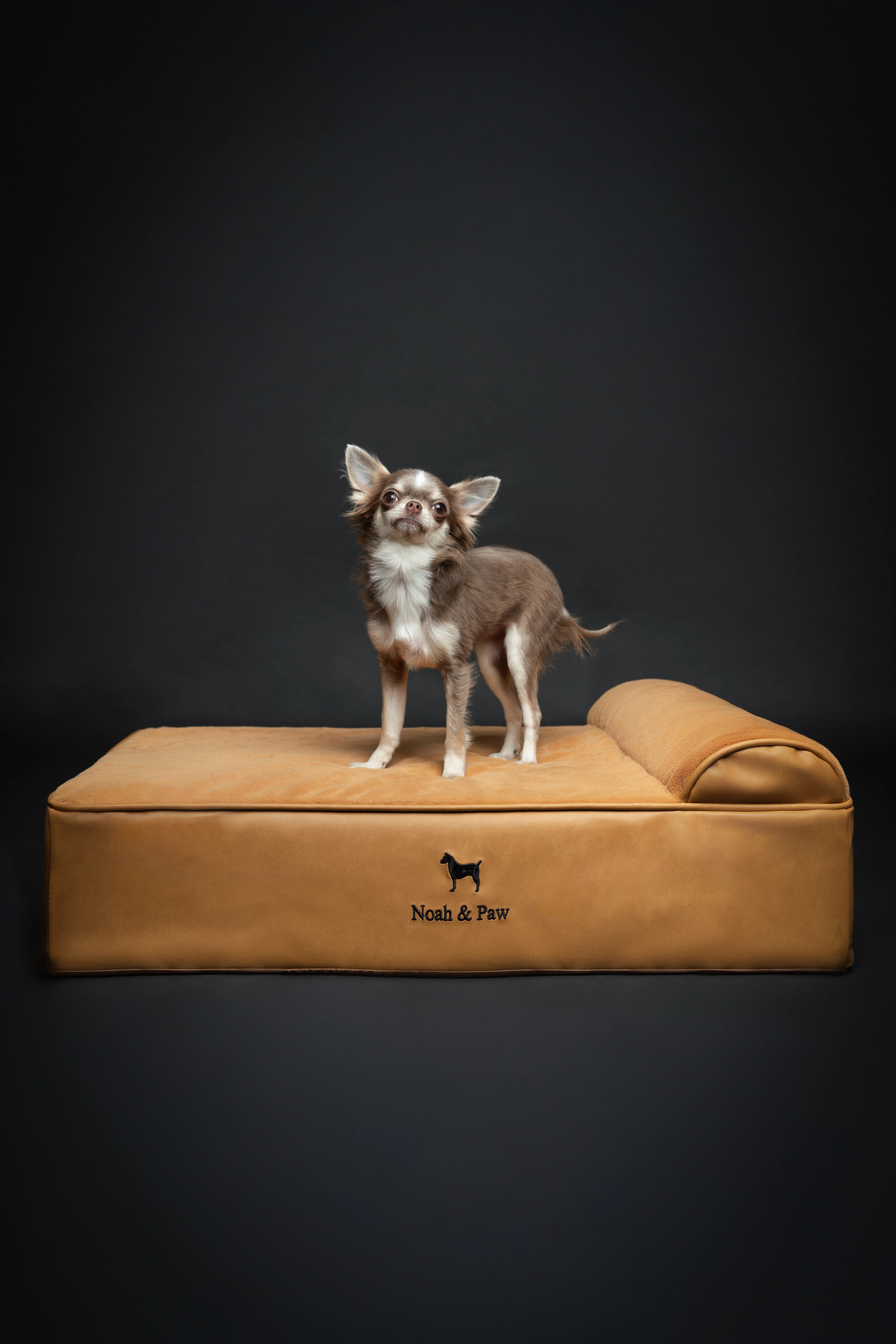 Orthopedic Faux Leather Pet Bed Classic Style - Camel - M