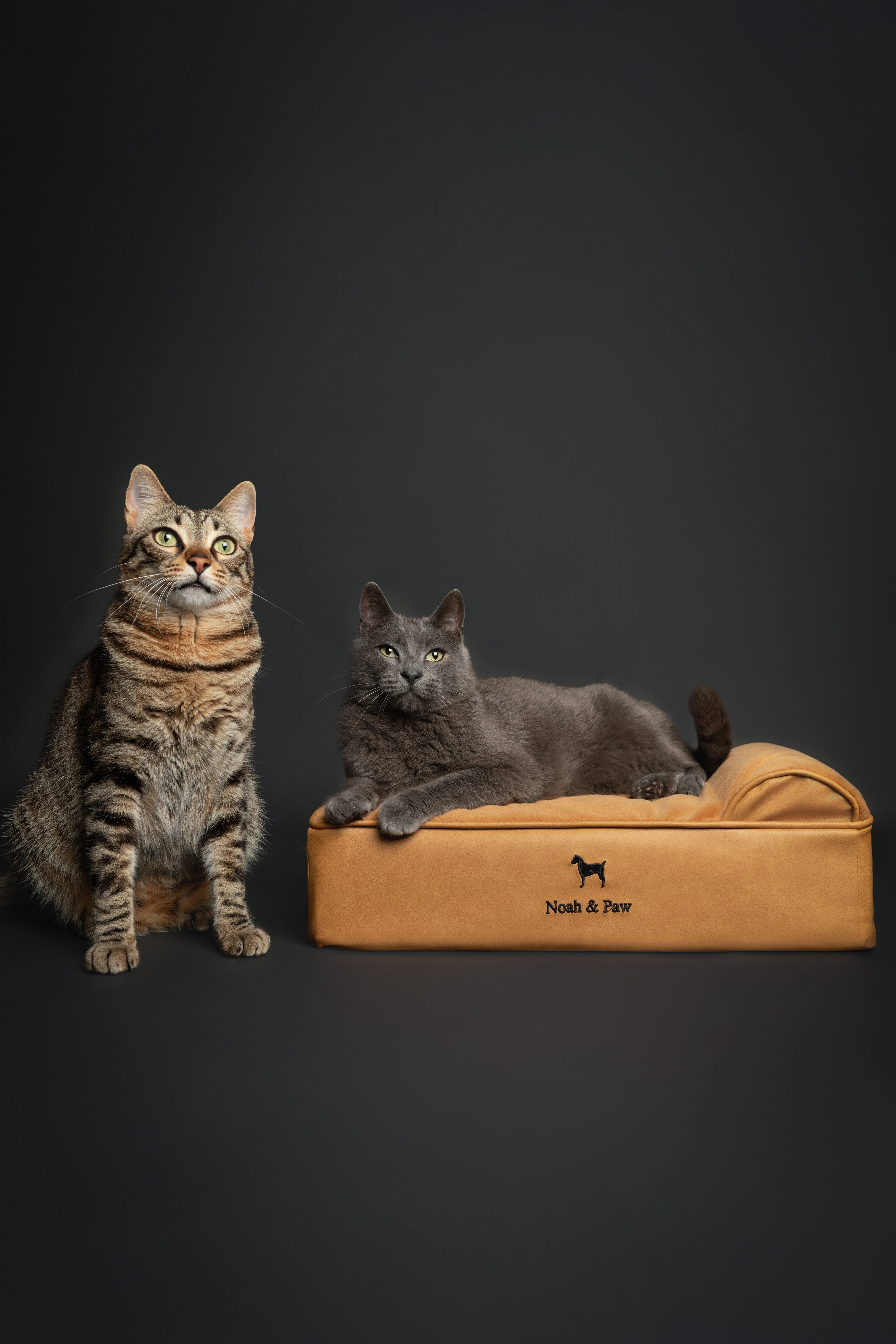 Orthopedic Faux Leather Pet Bed Classic Style - Camel - S