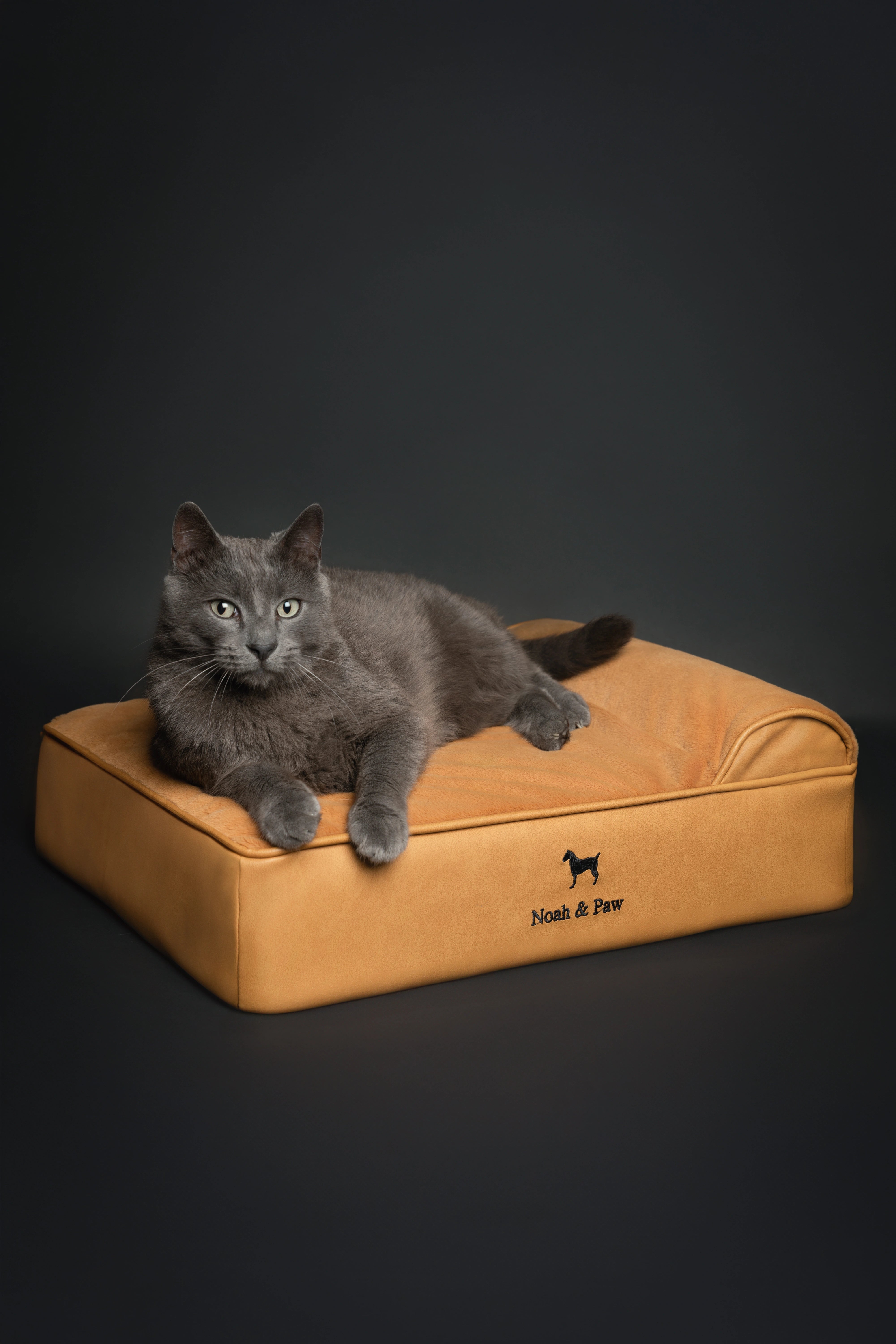 Orthopedic Faux Leather Pet Bed Classic Style - Camel - S