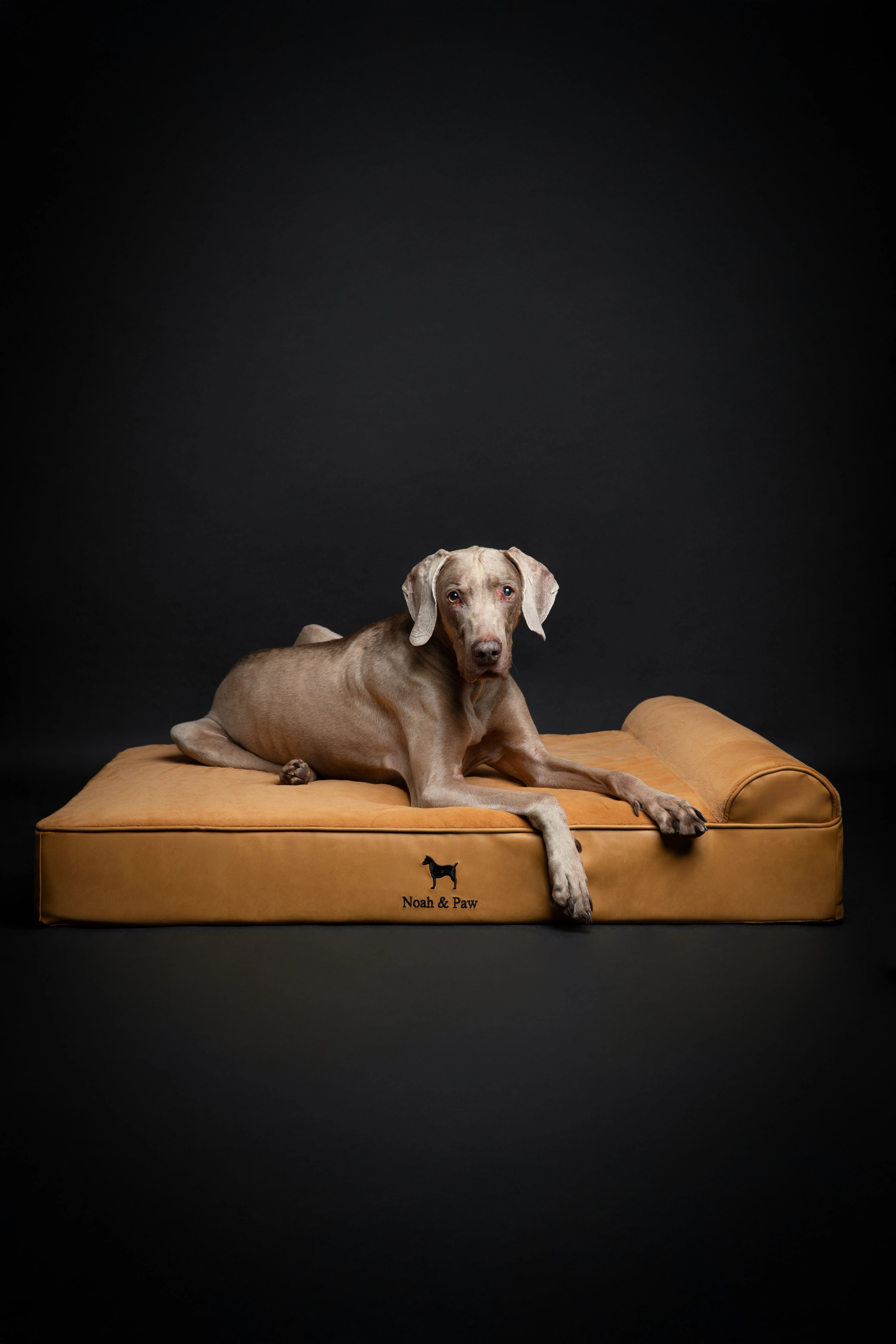 Orthopedic Faux Leather Pet Bed Classic Style - Camel - XL