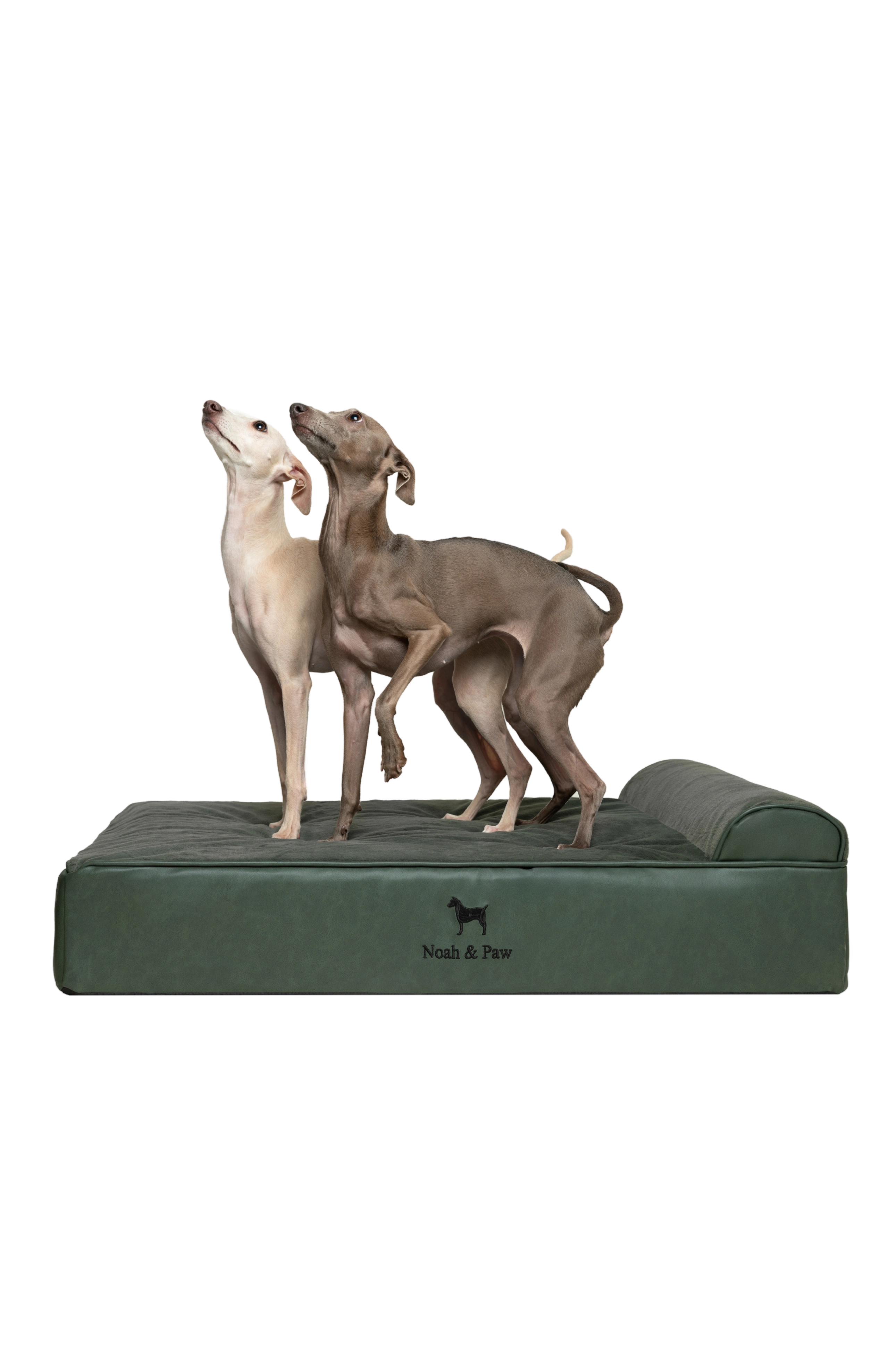 Orthopedic Faux Leather Pet Bed Classic Style - Dark Green - L