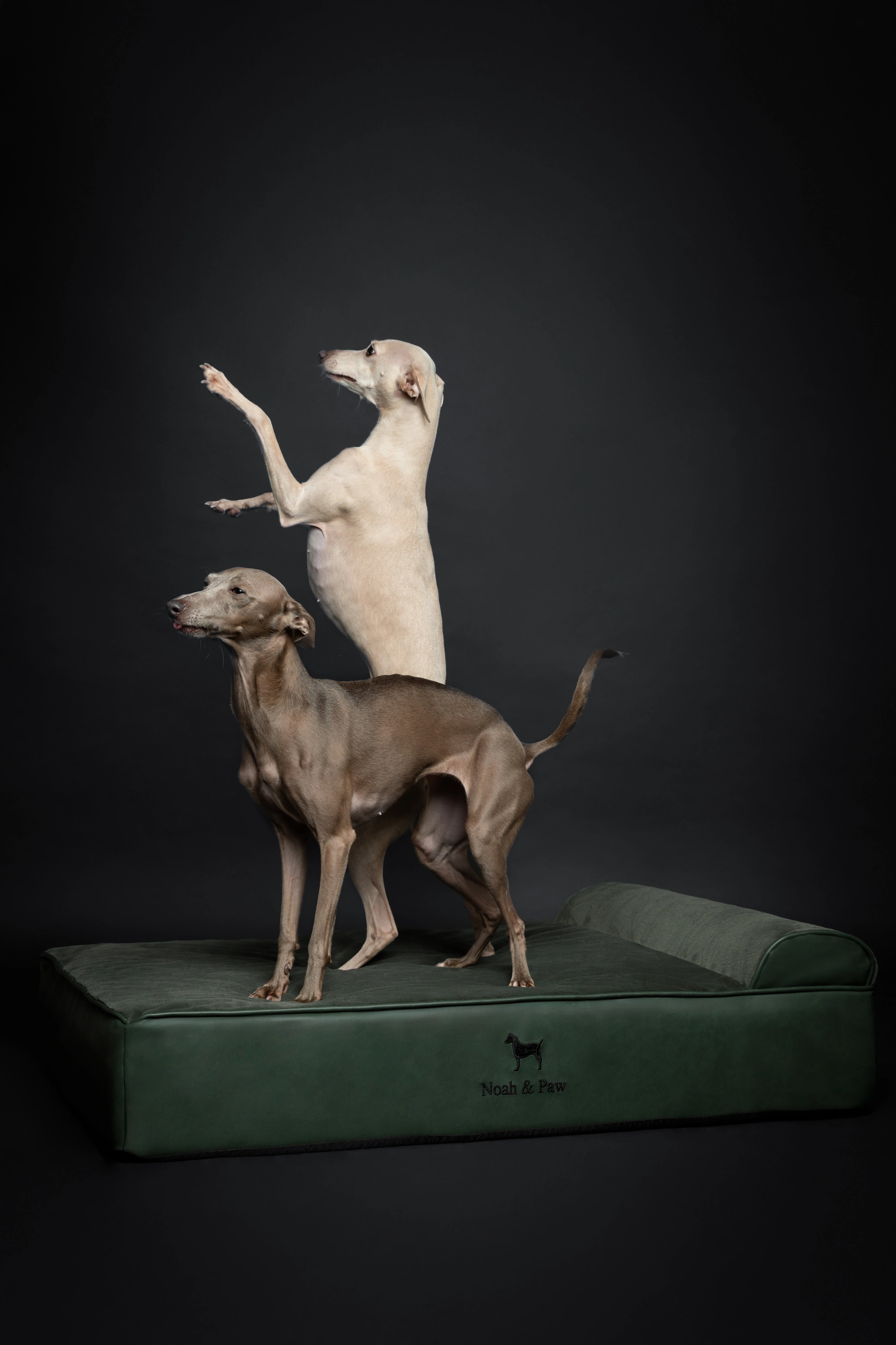 Orthopedic Faux Leather Pet Bed Classic Style - Dark Green - L