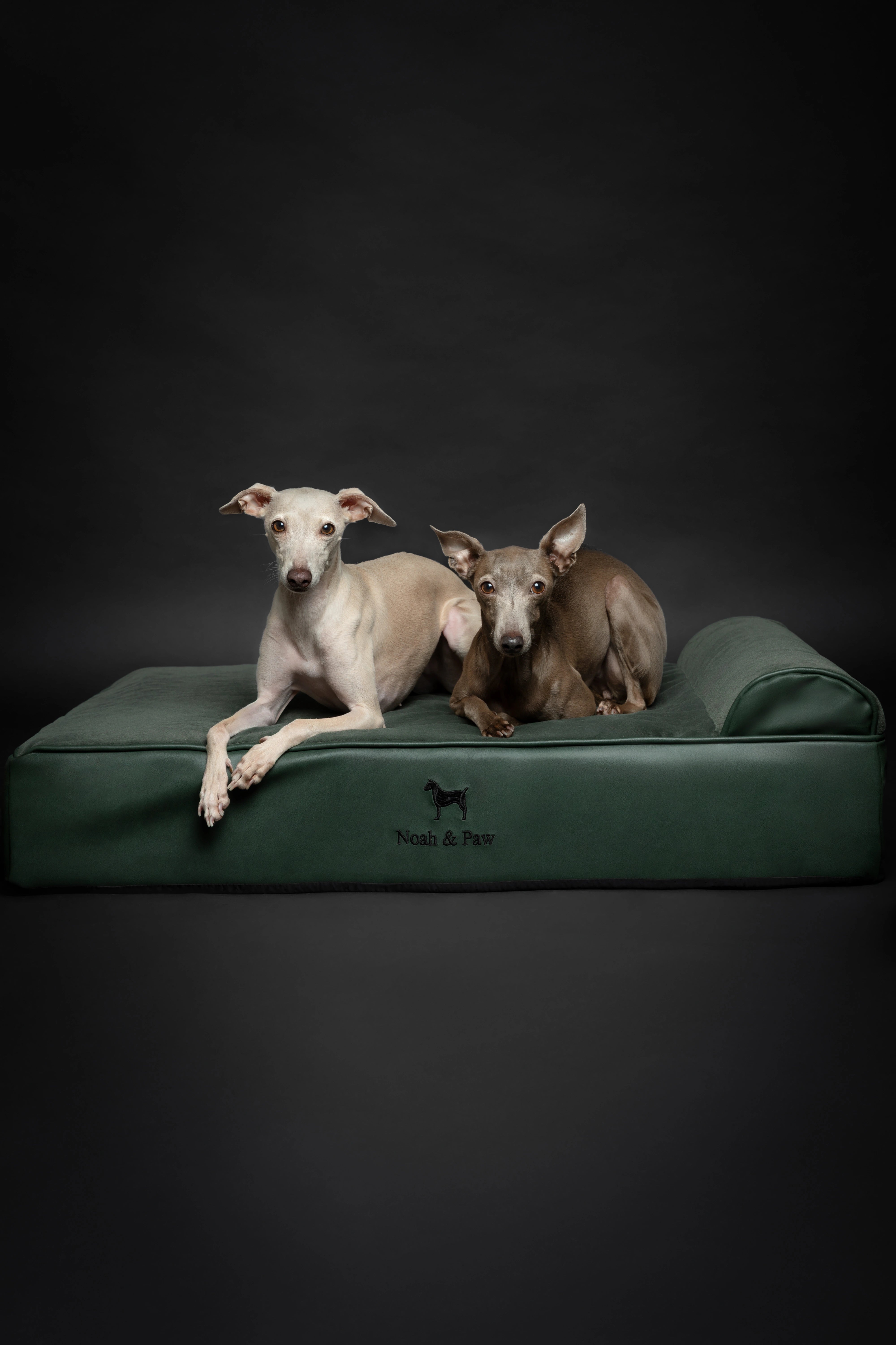 Orthopedic Faux Leather Pet Bed Classic Style - Dark Green - L