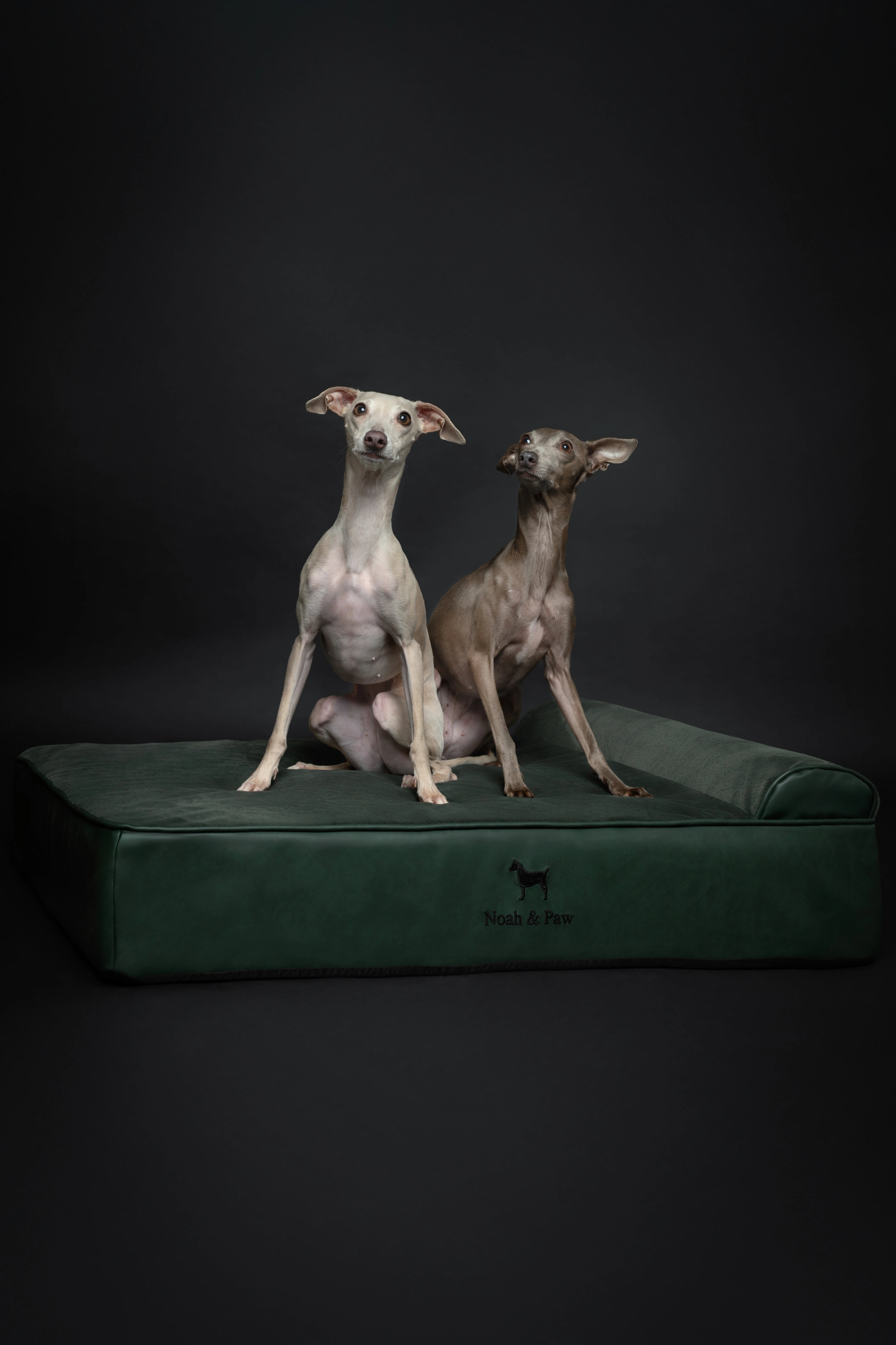 Orthopedic Faux Leather Pet Bed Classic Style - Dark Green - L