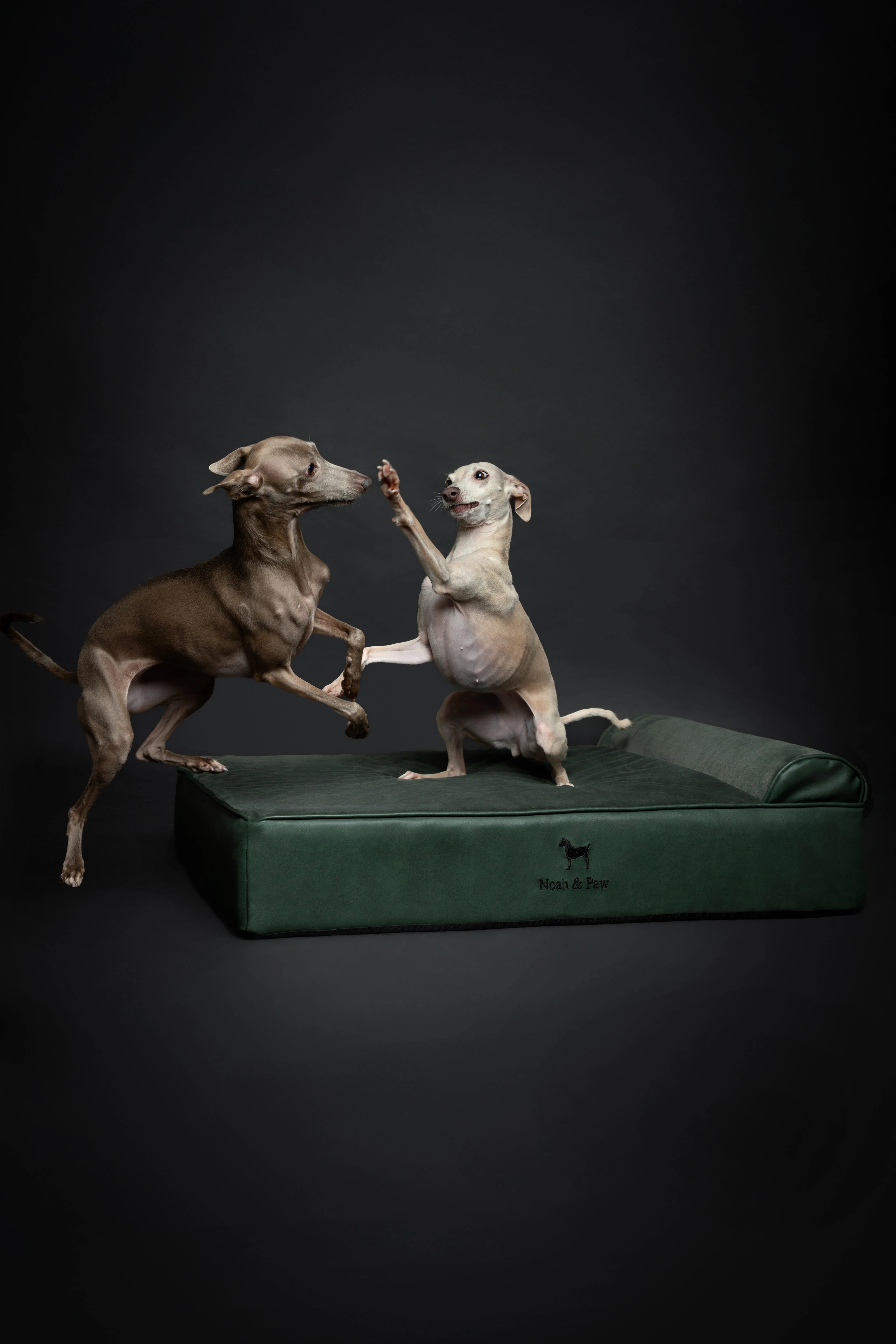 Orthopedic Faux Leather Pet Bed Classic Style - Dark Green - L