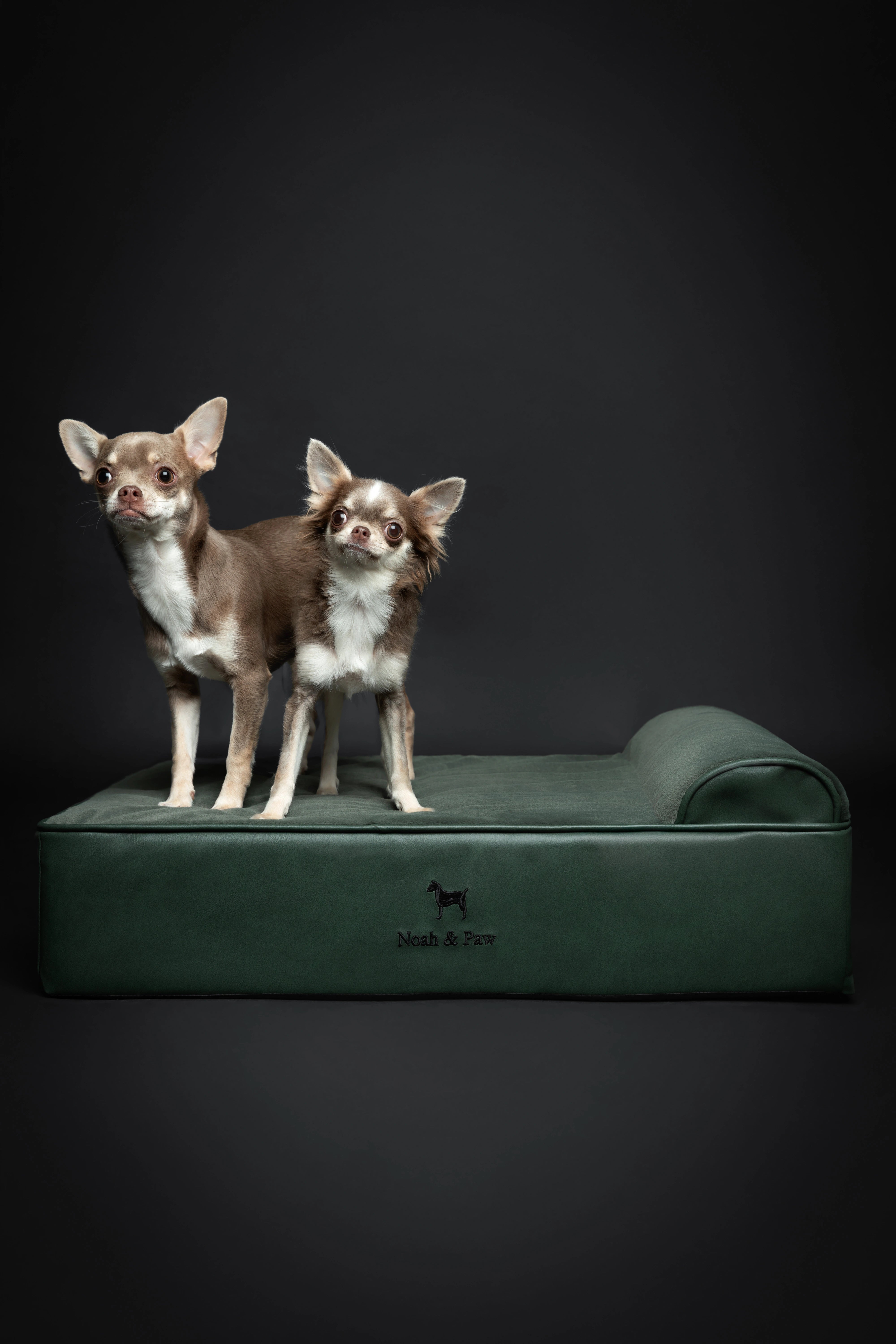 Orthopedic Faux Leather Pet Bed Classic Style - Dark Green - M